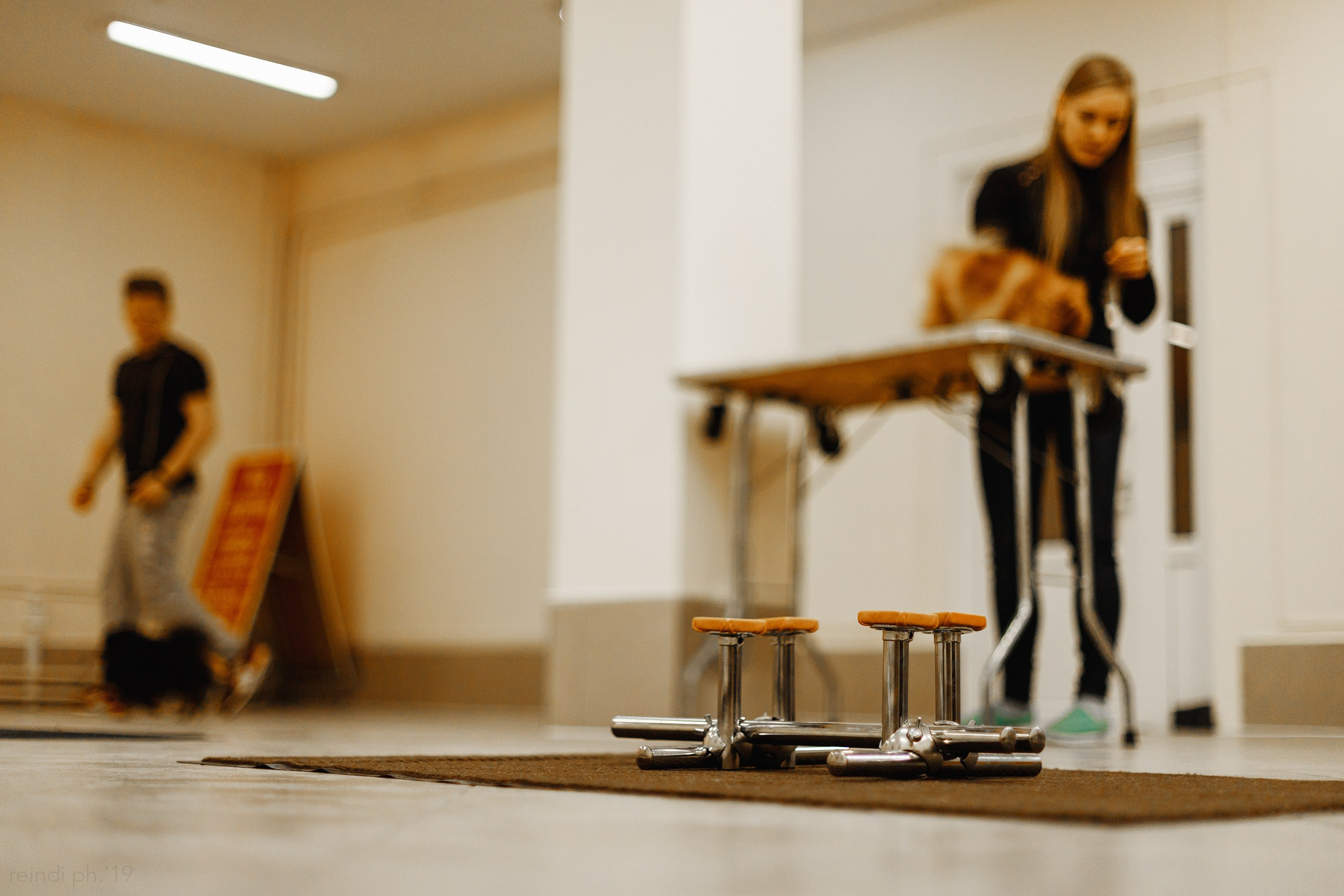 Dog handling hall. Kaja | fotograf we Wrocławiu | ludzie i psy