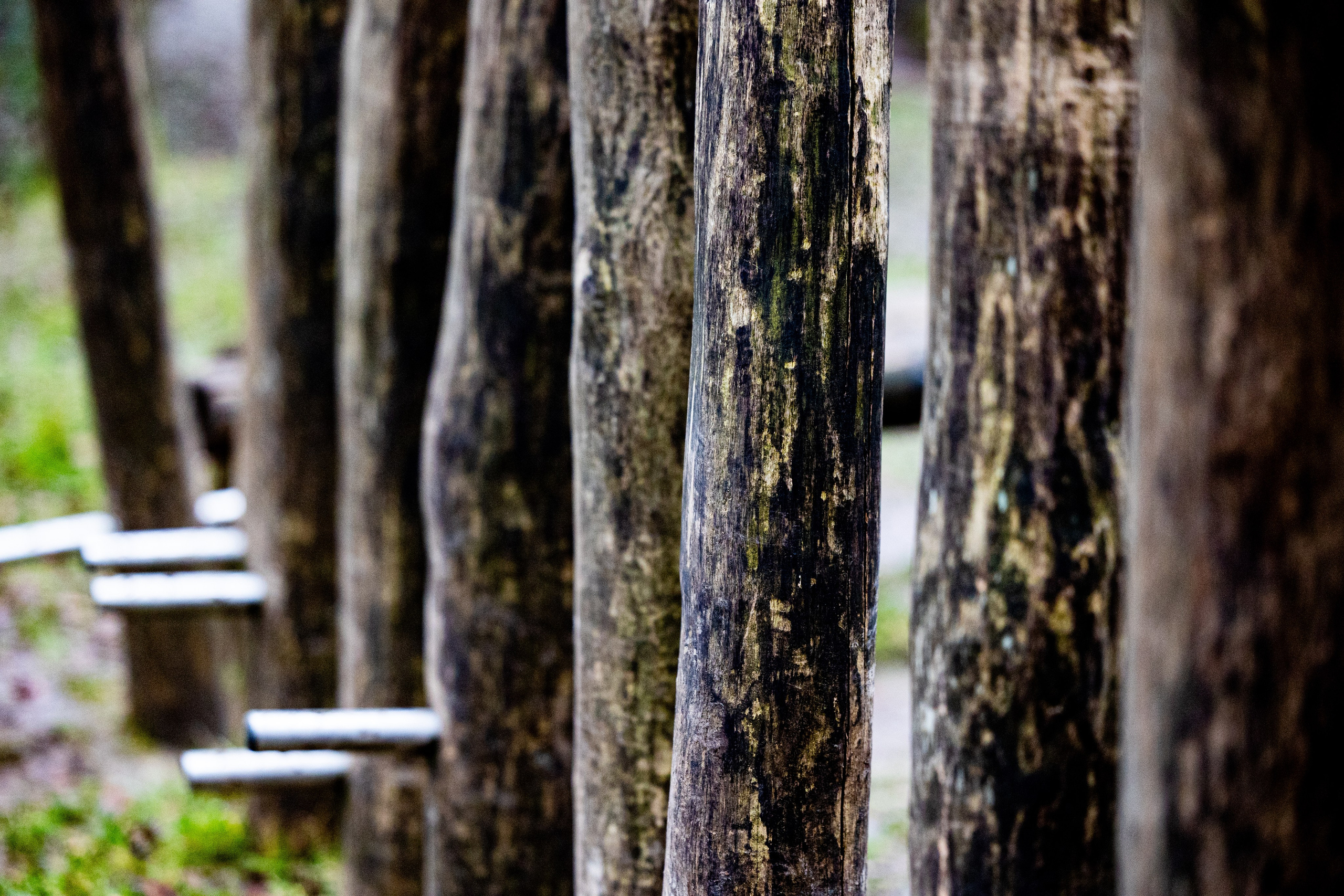 Forår. Fotograf Aarhus | Portrætfoto Århus | Flotte billeder
