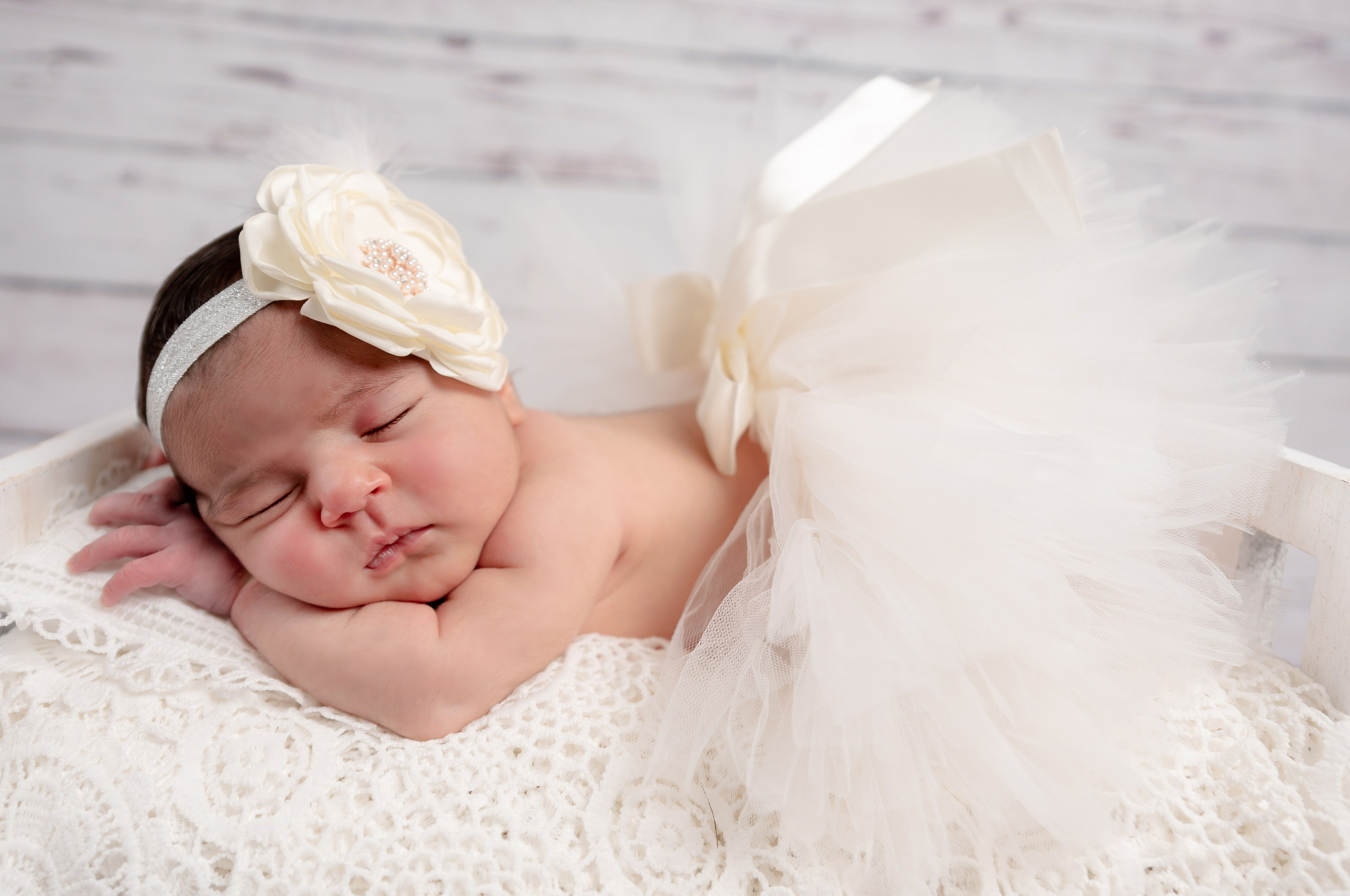 Newborn Photoshoot. Professional Photograher, Antwerpen/Belgium