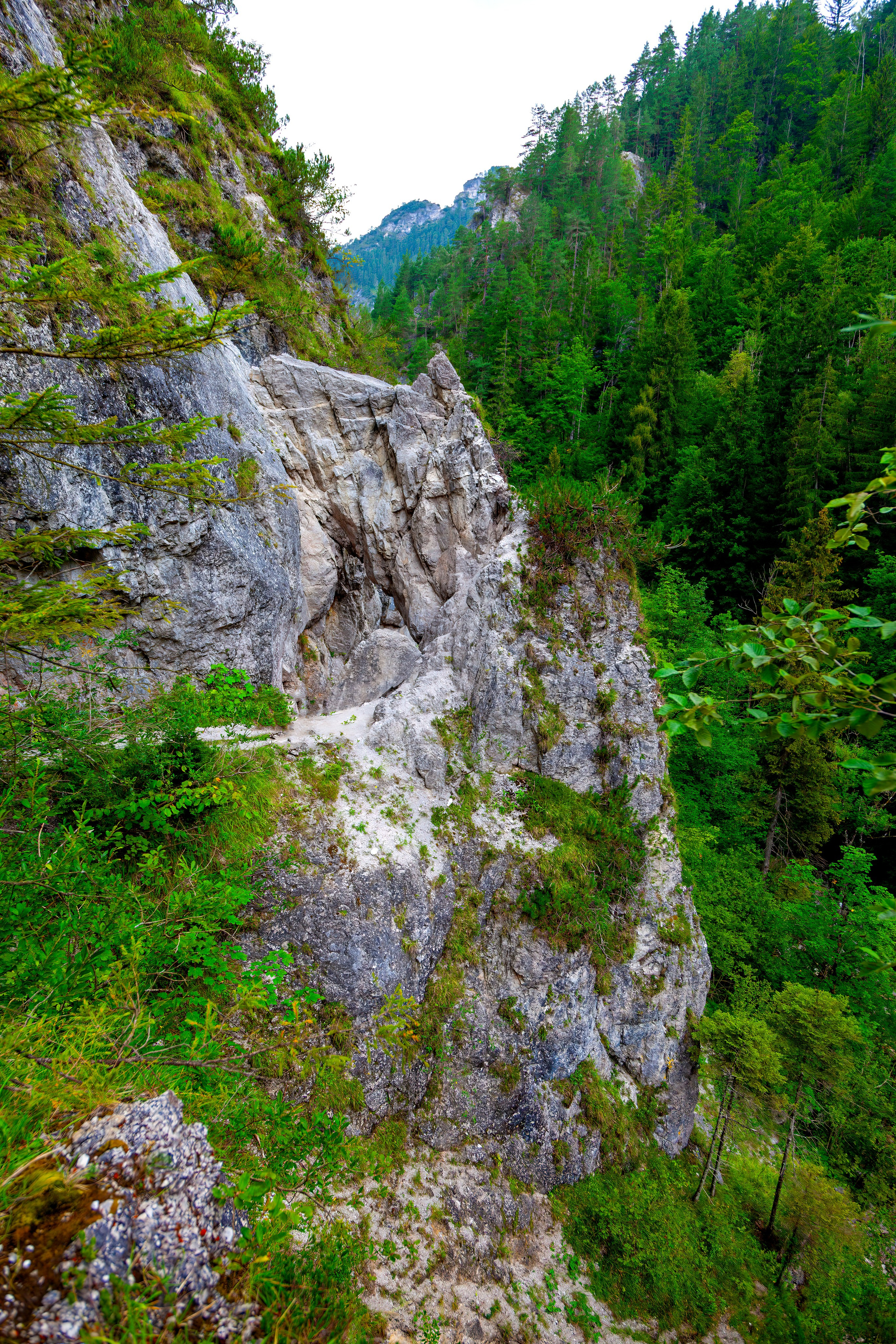 197.Ötscher Base Nature Park.Austria.21.8.2025. Путешествия в формате 360......