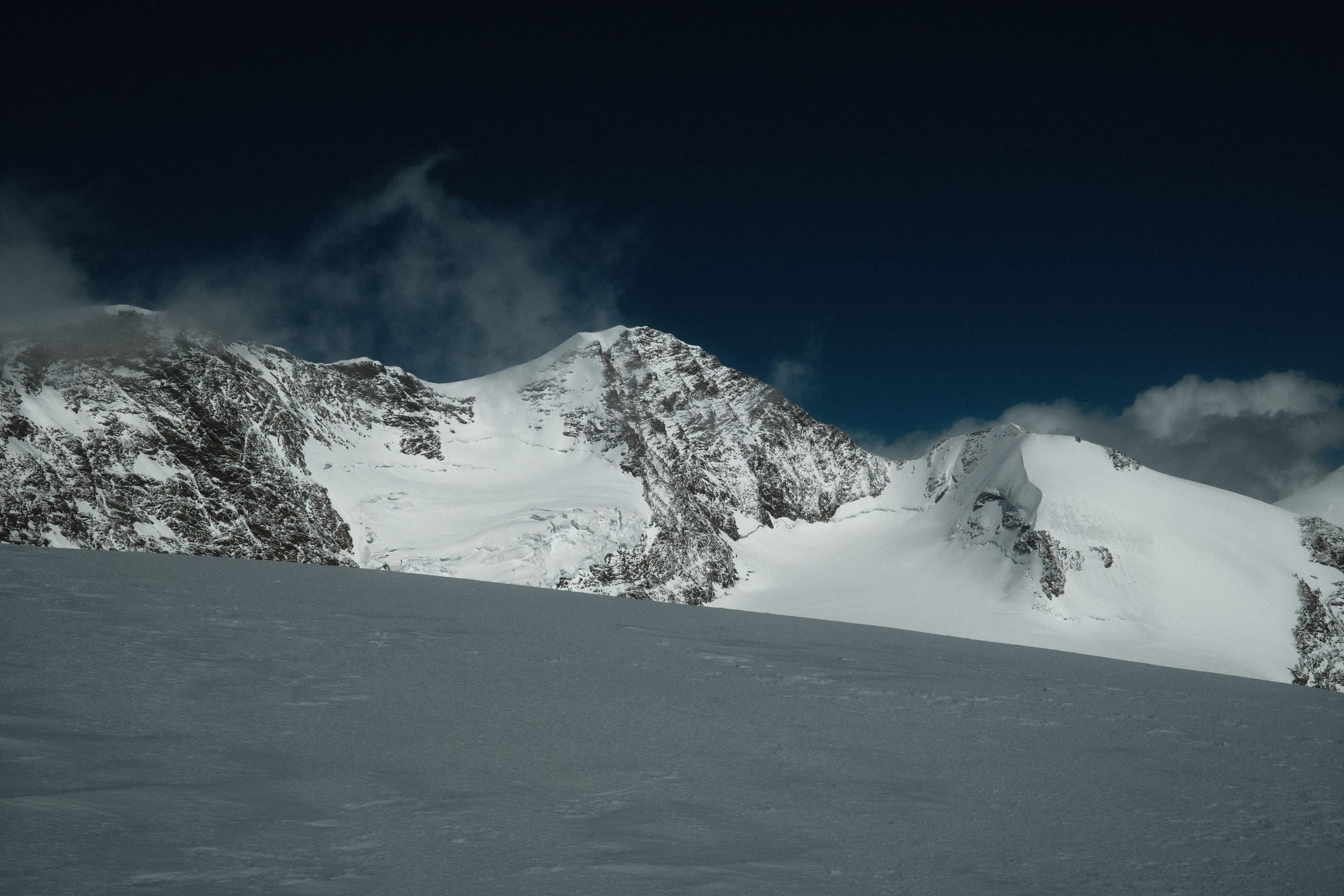 Castor. Patricia Morenci — Mountain Adventures for the Wild at Heart