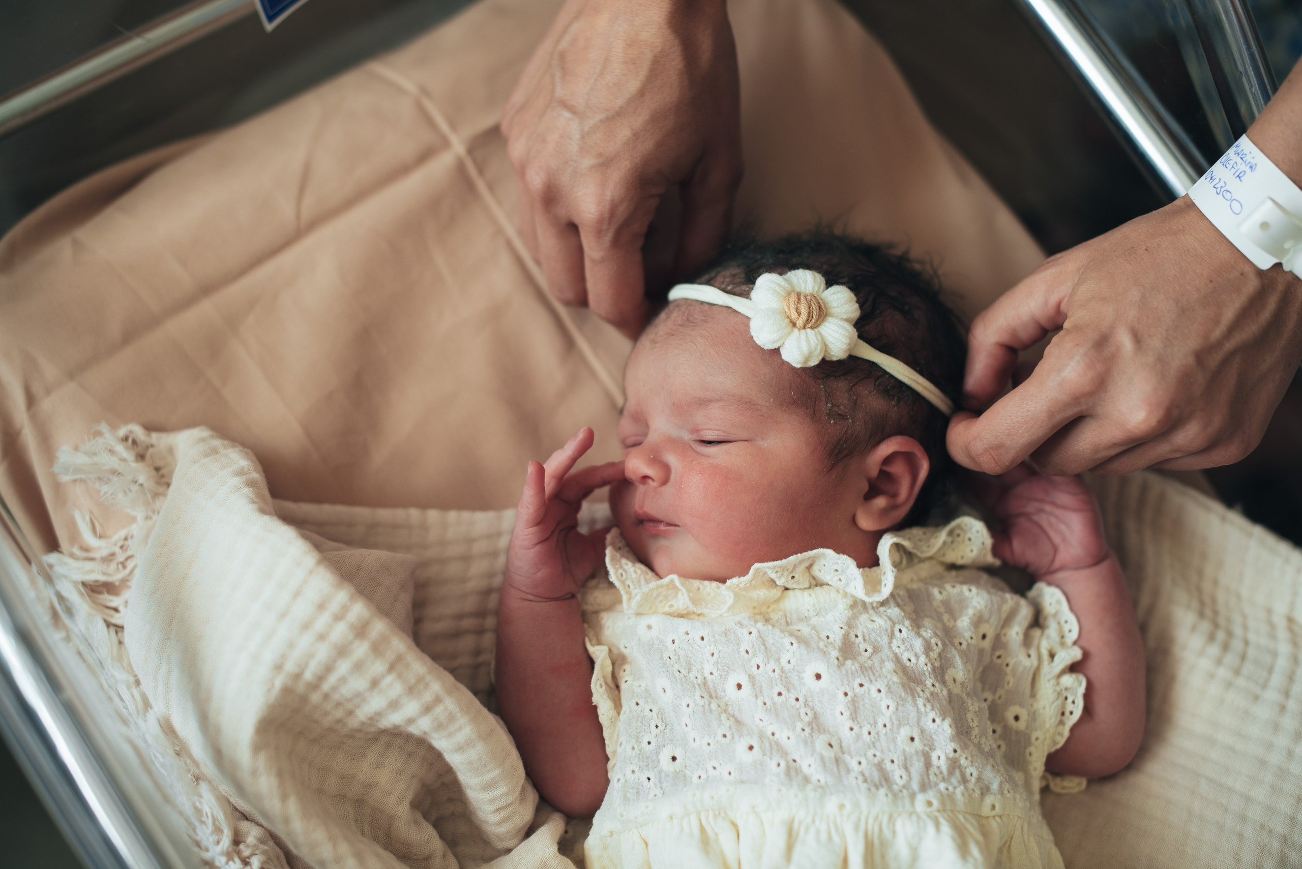 Fresh 48. Https://newbornphoto.wfolio.pro/me