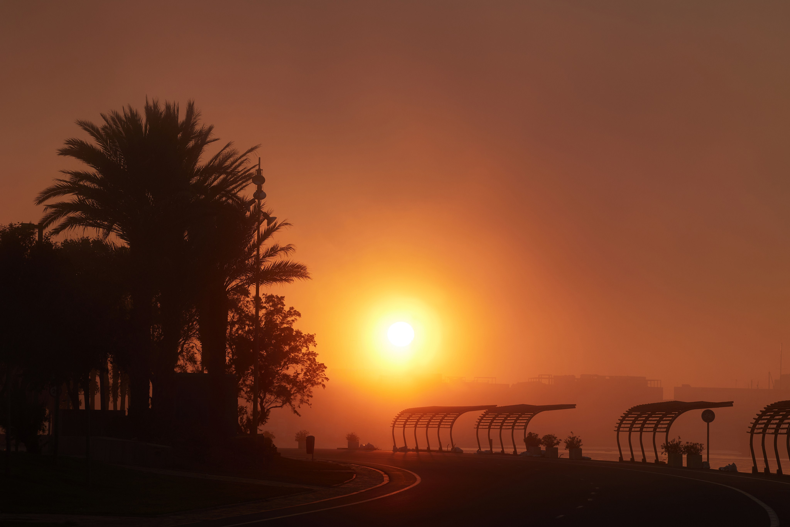 Siluetas de palmeras y estructuras modernas entre la niebla densa al atardecer en la costa de València