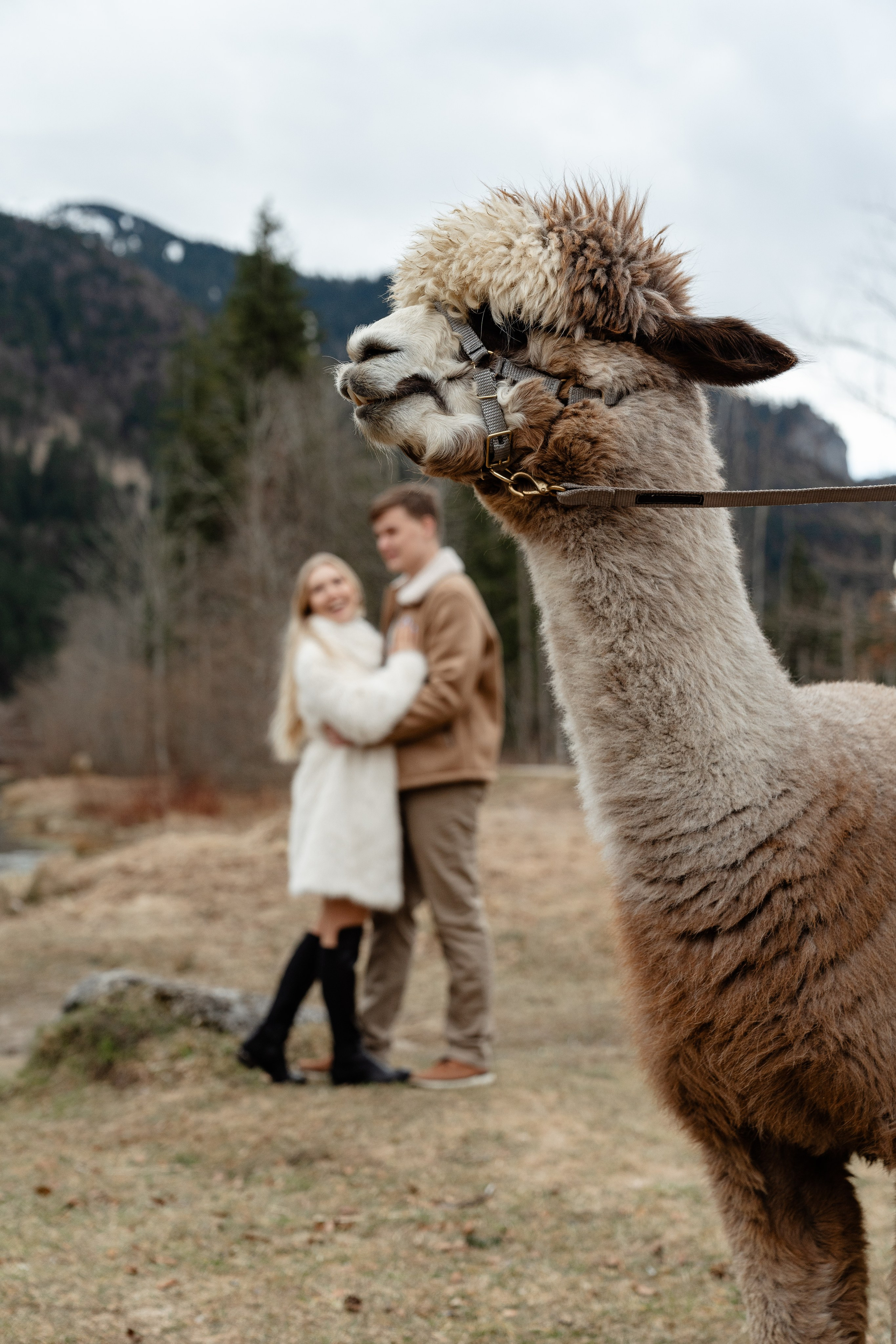 Love Story. Hochzeitfotografin Daria Faletssky