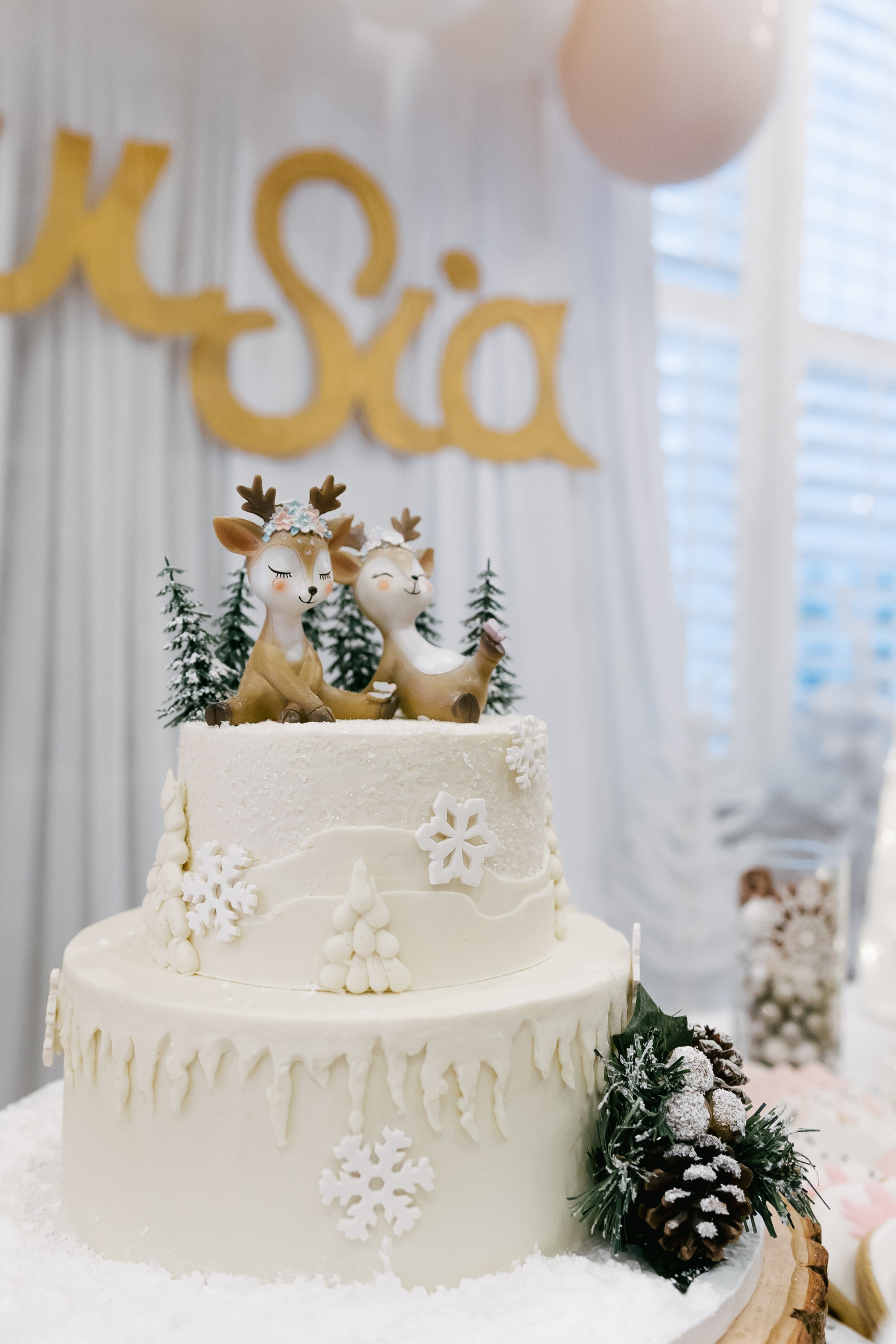 Twins Birthday. Sara Eulalia | Virginia Photographer