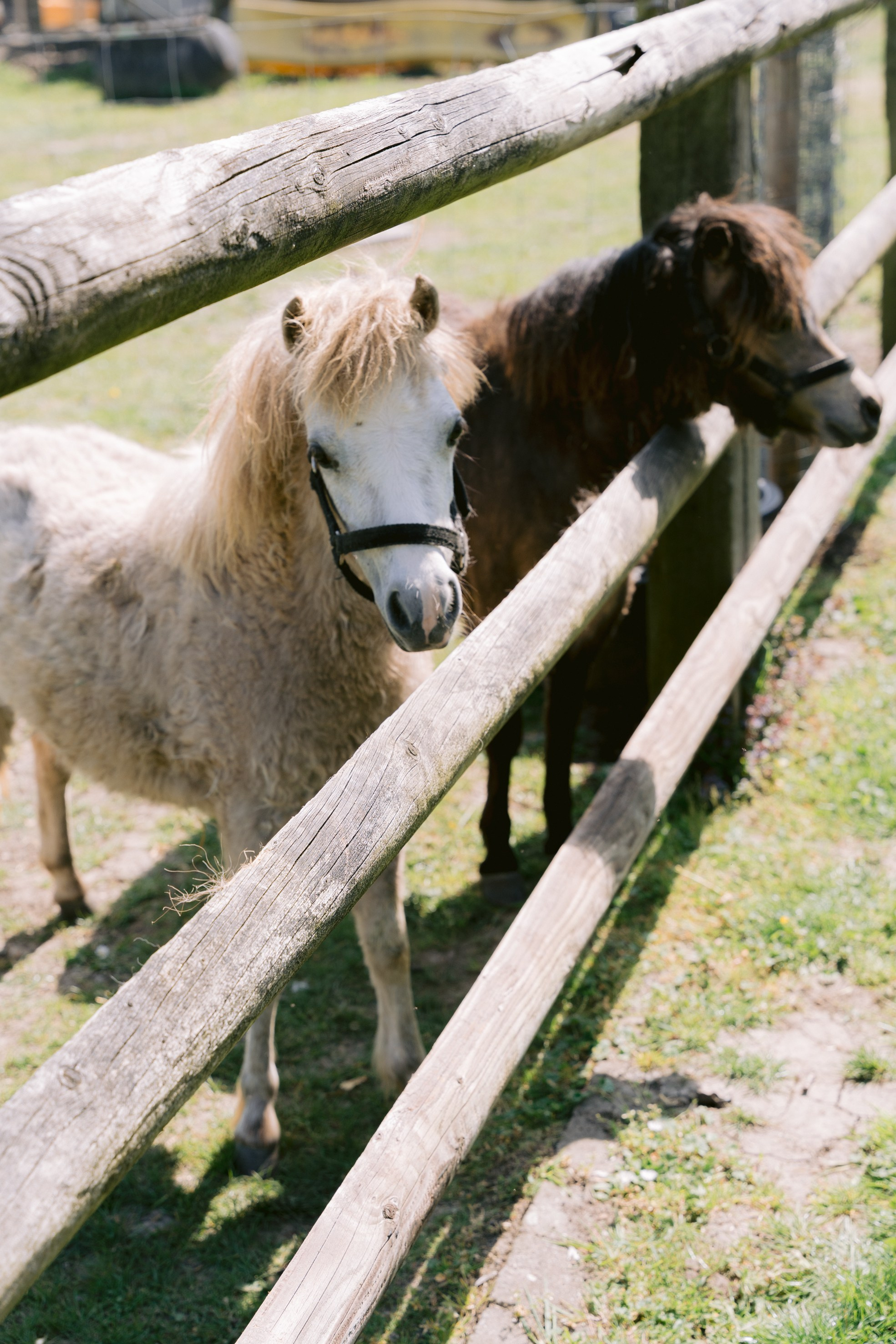 Wedding Day. Little Birdie – Jouw familie- en huwelijksfotograaf in België en daarbuiten