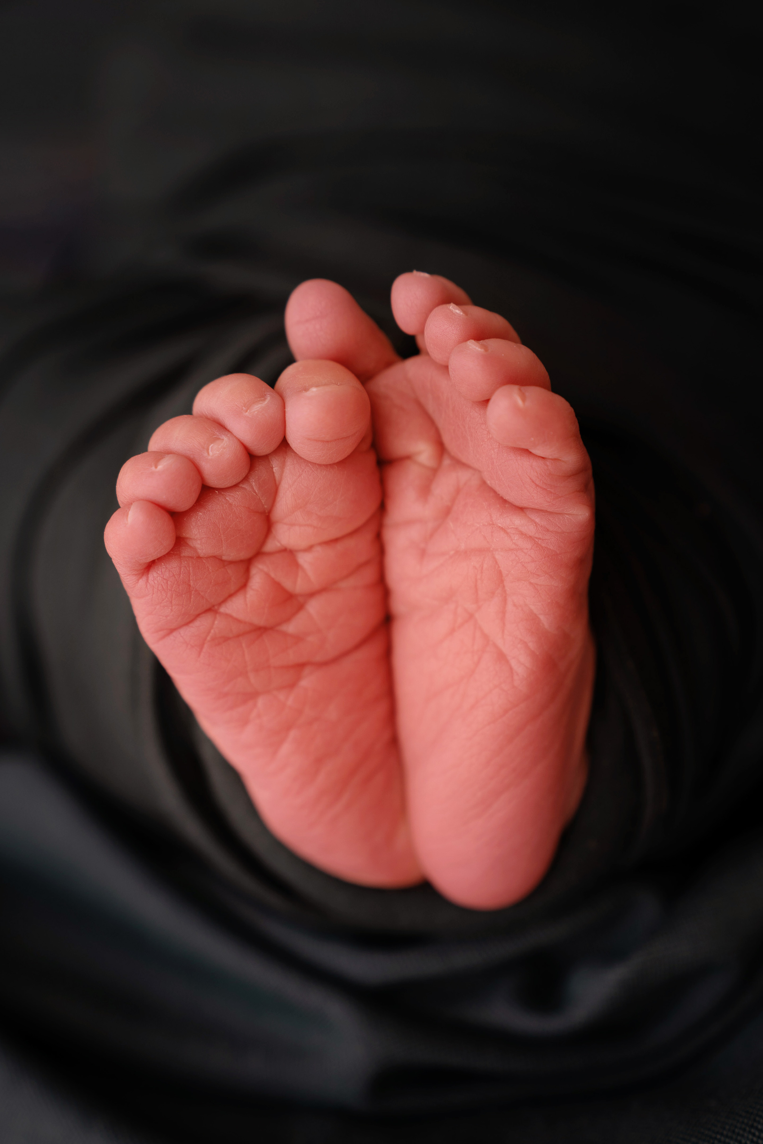 Илай. Фотограф новорожденных и детей первого года Евгения Михалькевич