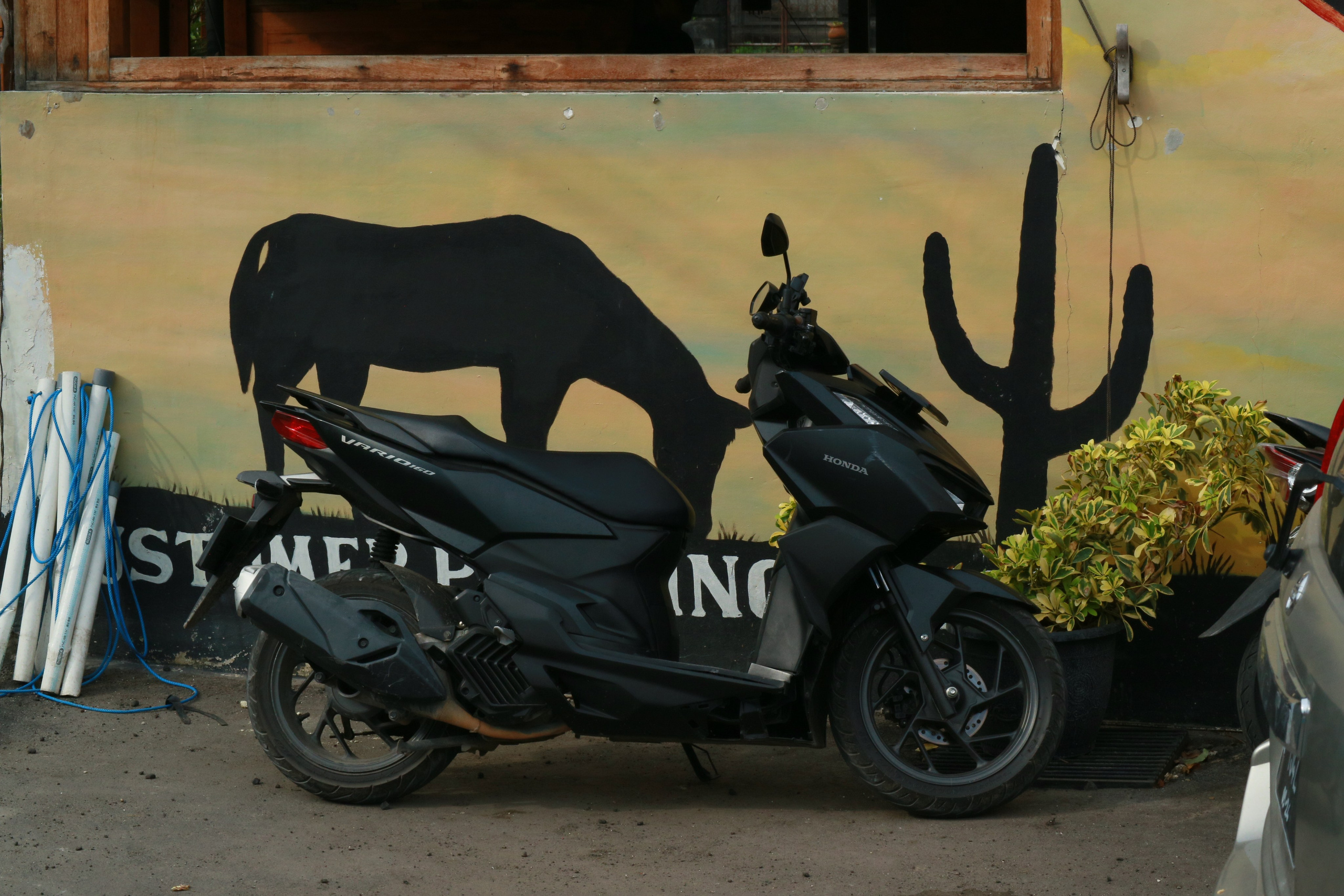 Balinese Days. BNW Around Photography