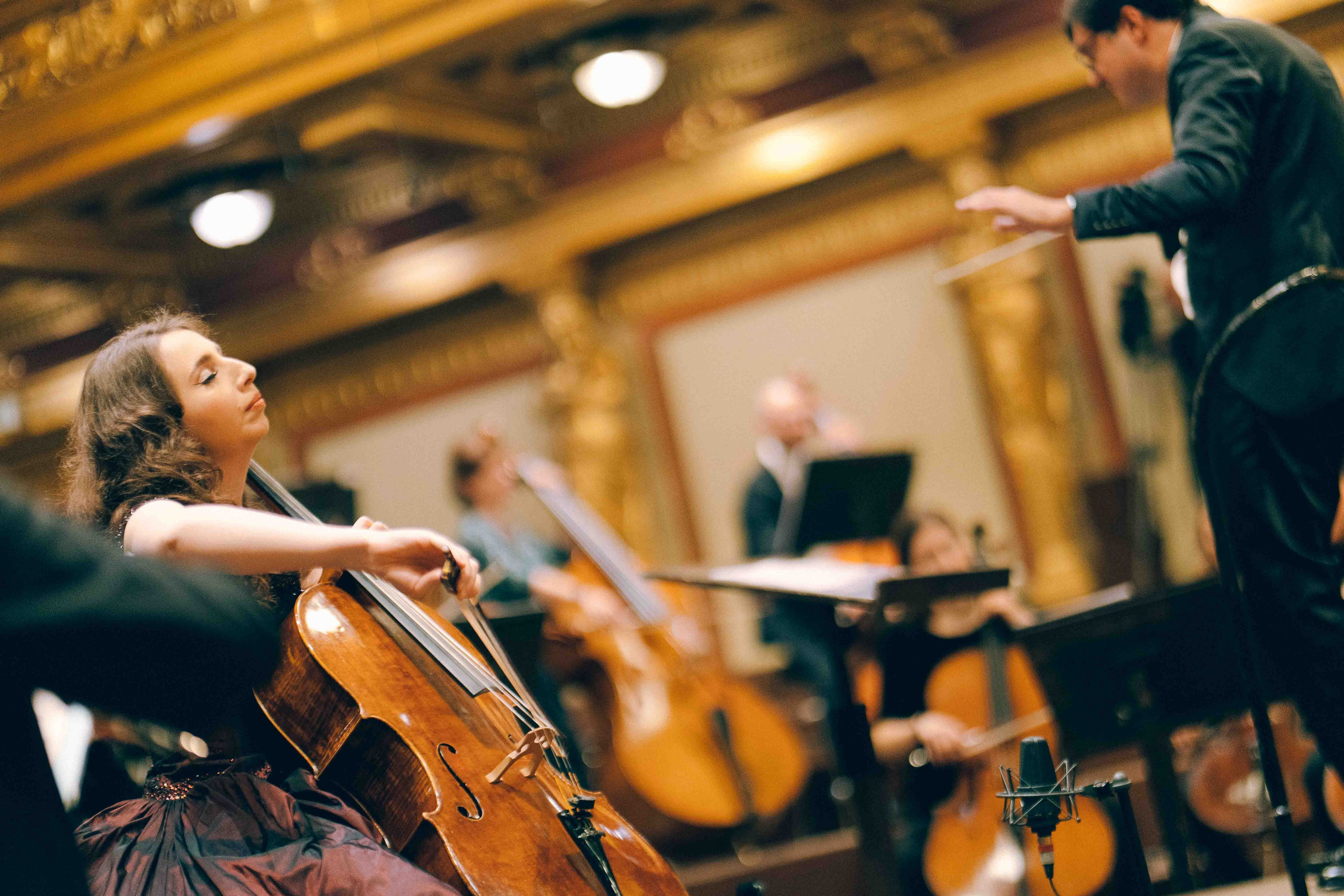 MUSIKVEREIN (VIENNA). Wedding&Event photographer Ismail Rzayev in Baku
