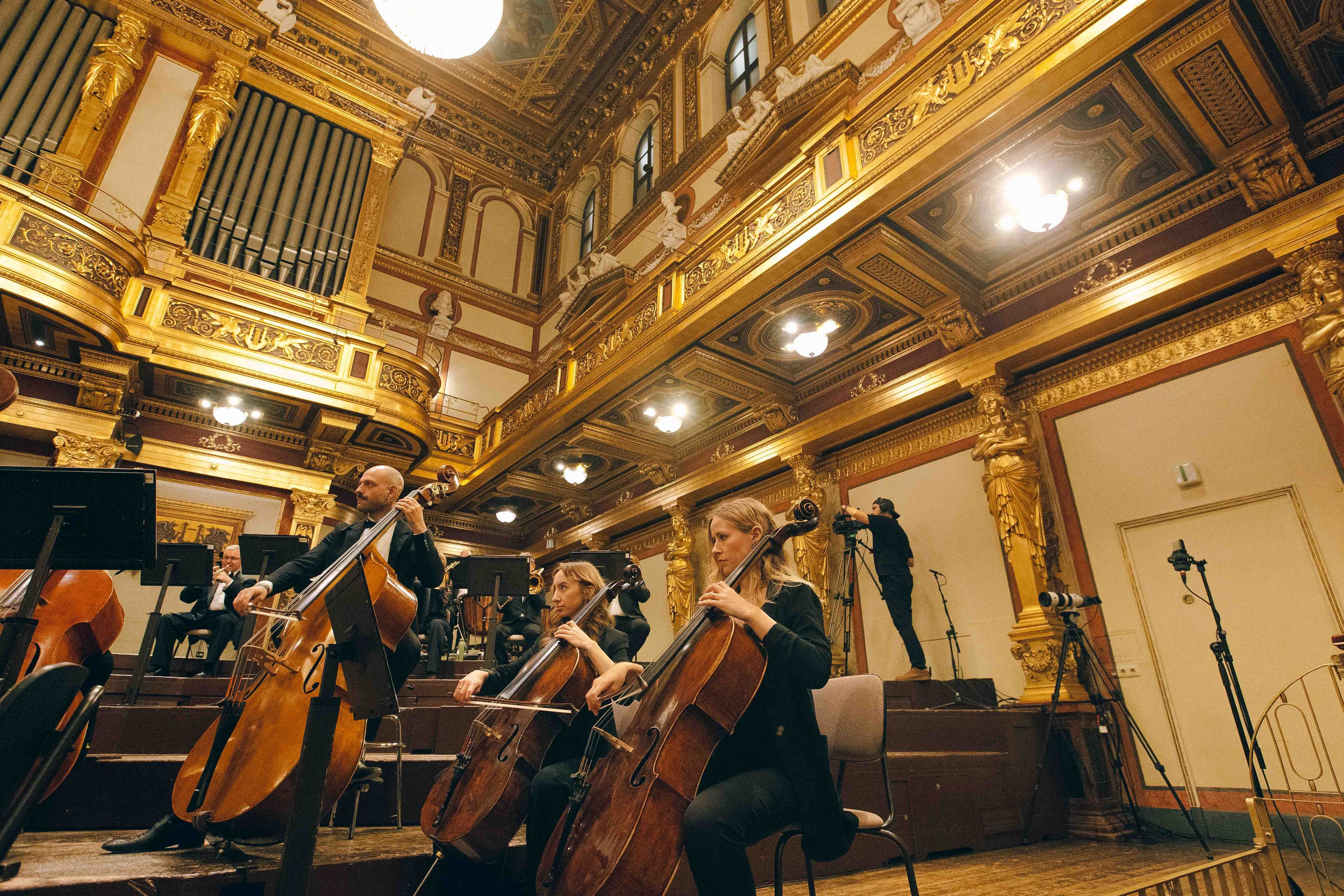 MUSIKVEREIN (VIENNA). Wedding&Event photographer Ismail Rzayev in Baku