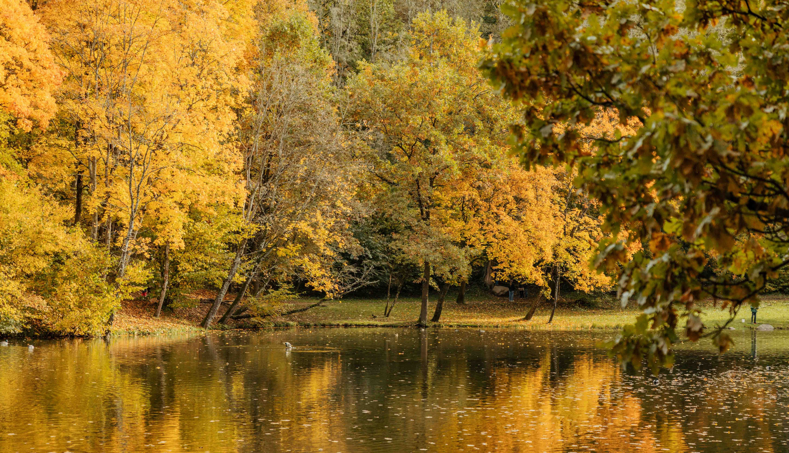 Best Autumn Photoshoot Locations in Vilnius: Top Spots to Capture the Fall Colors. Framed by Evelina | Destination Wedding Photographer from Lithuania | Europe