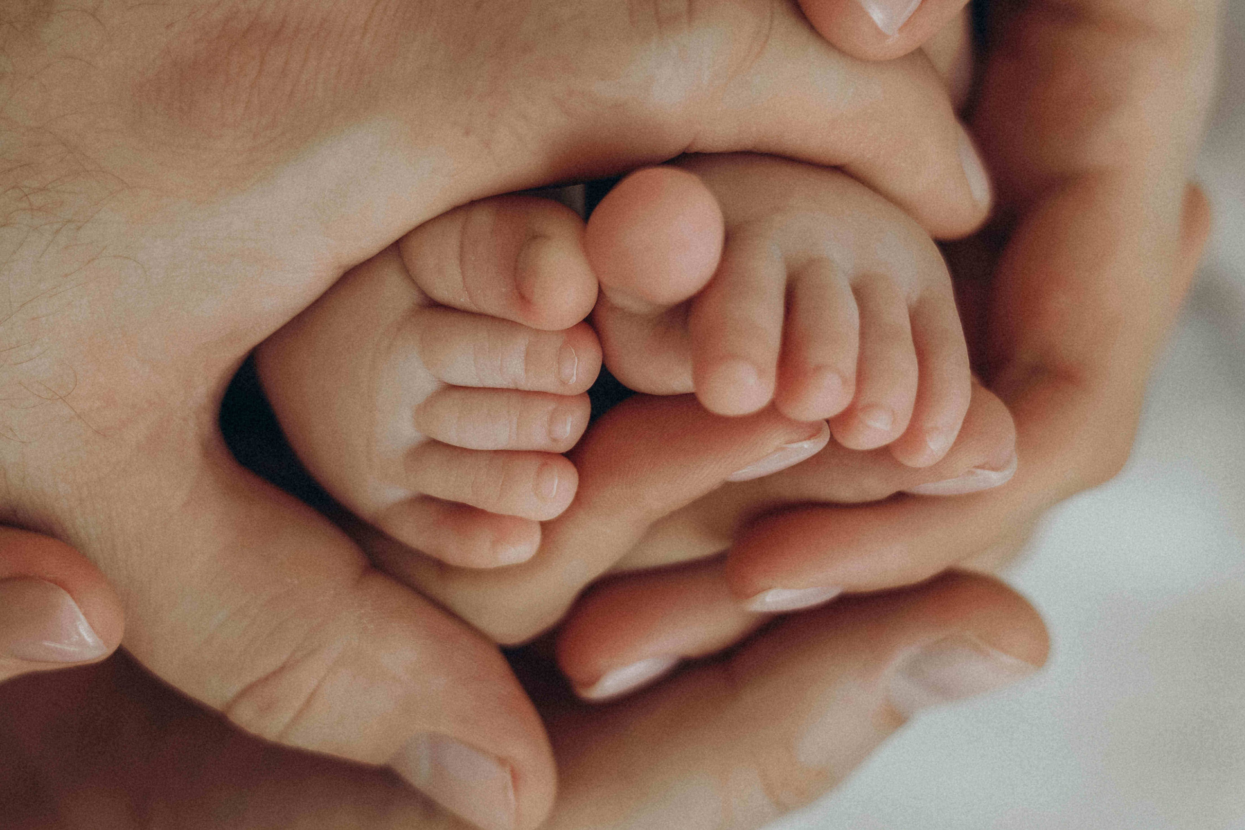 Olivia 6 mnths. Newborn, Maternity & Family Photographer in Charlotte, North Carolina | Arhipova Julia