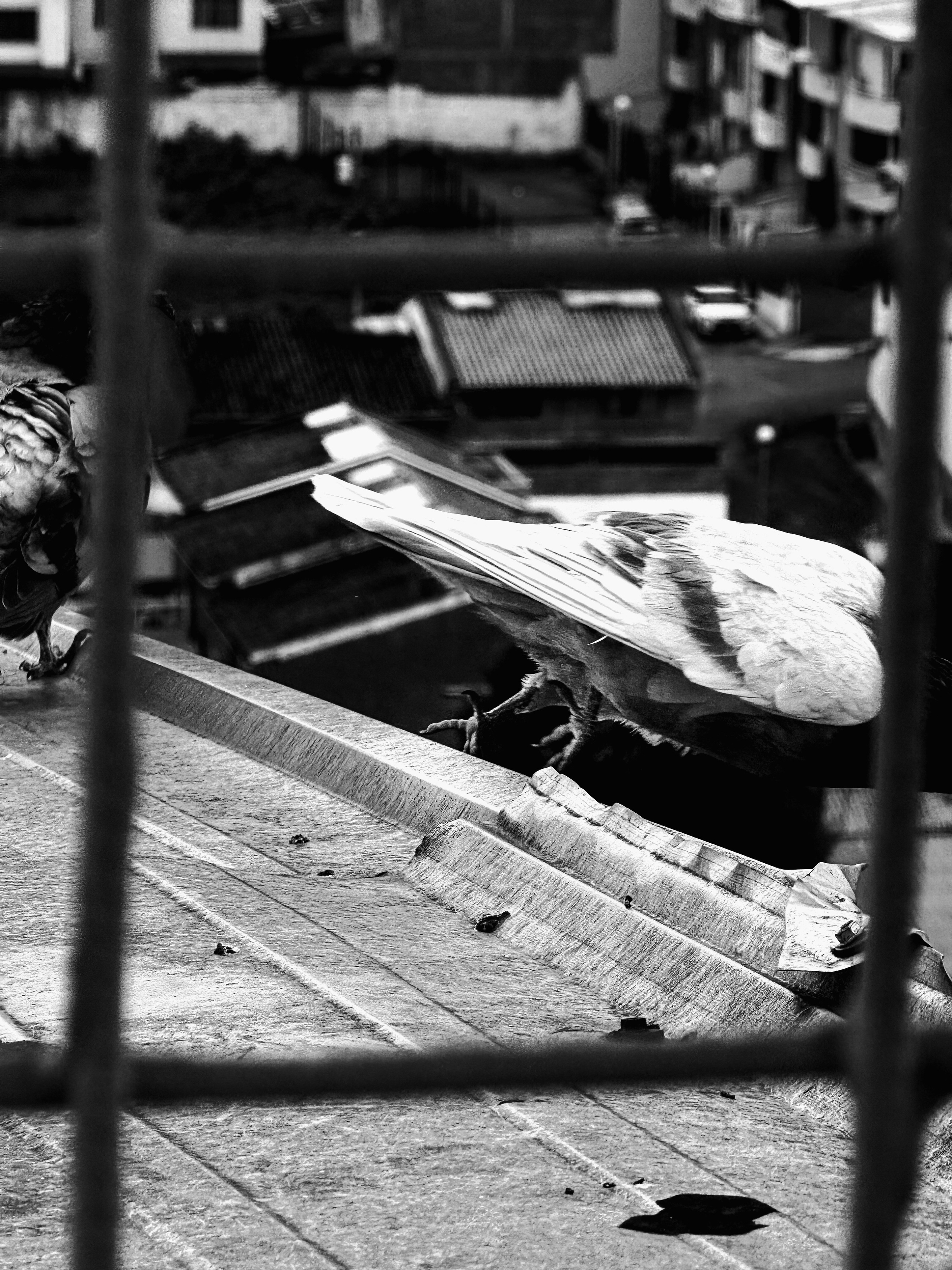 Black and White Street Photography | Jordy Chuquimarca. Jordy Chuquimarca Fotografía