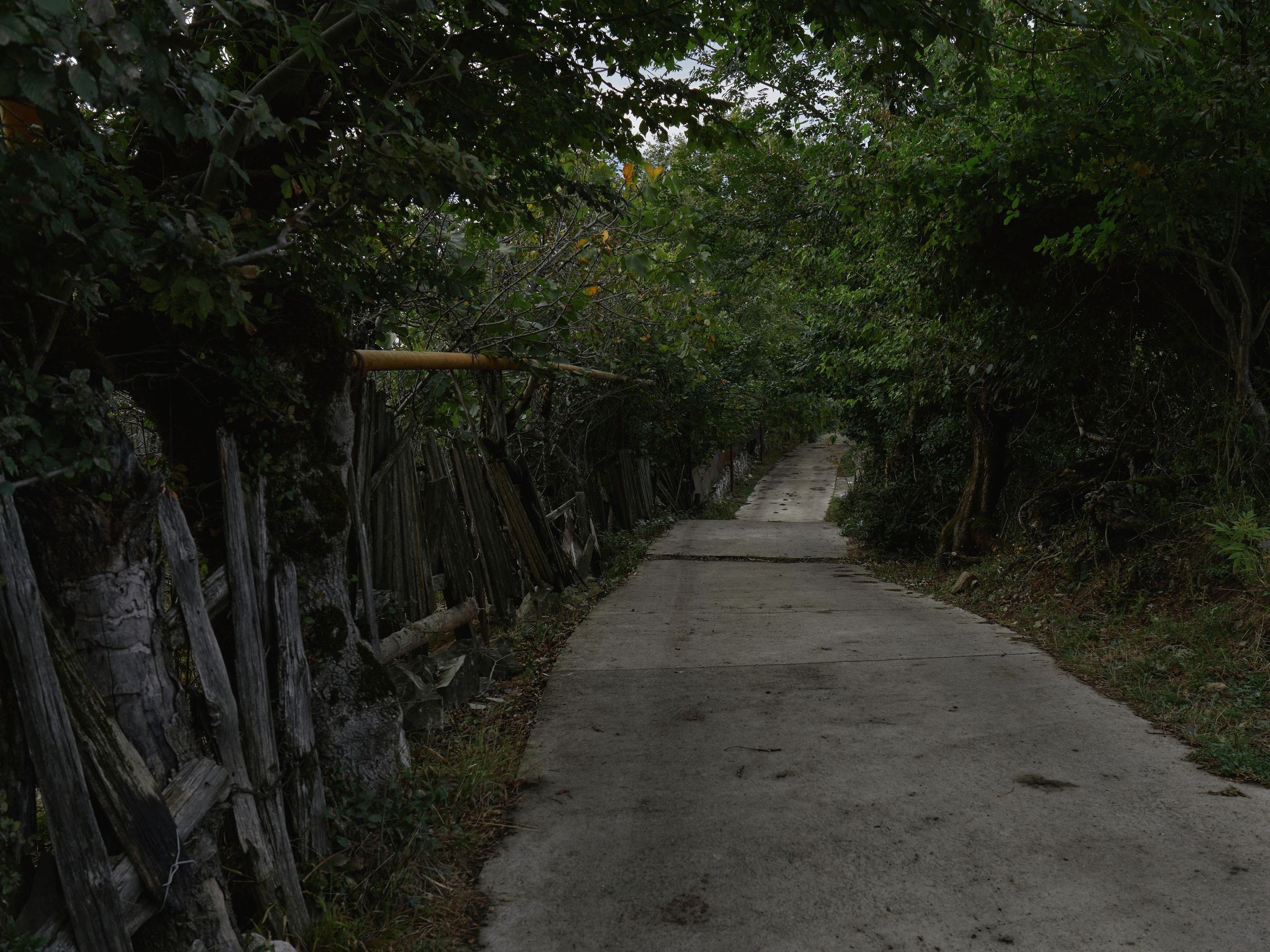 Scars of Shukruti. Egor Borie