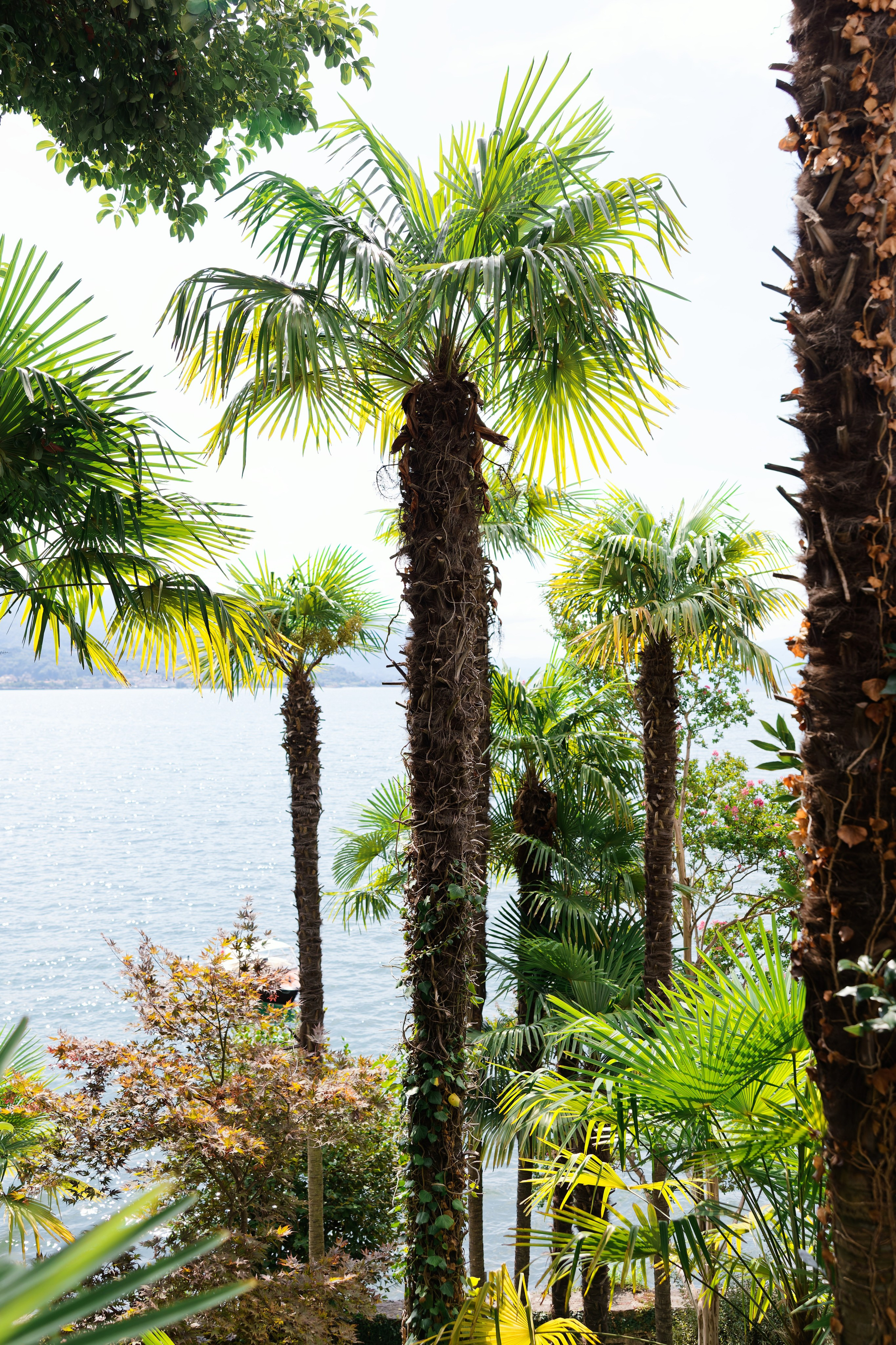 Wedding at Villa Porta on Lake Maggiore