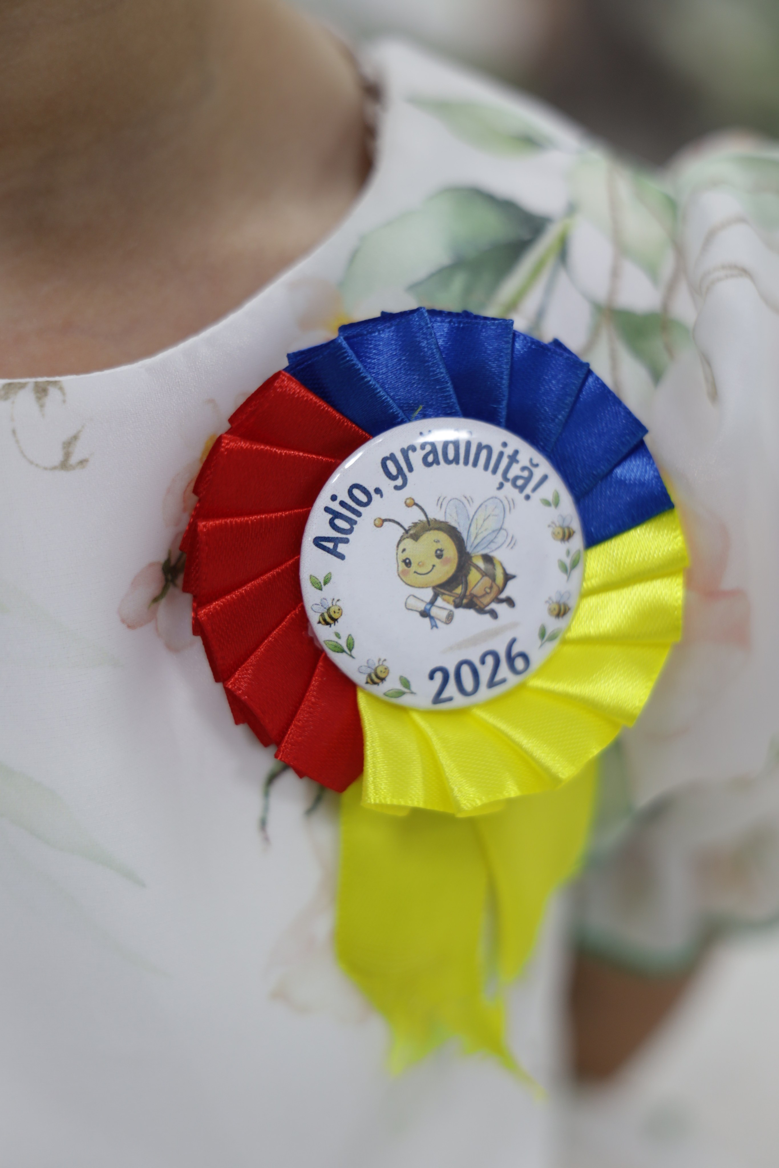 Adio Grădiniță dragă-2026. Alika Dia- Fotograf în Republica Moldova, Strășeni