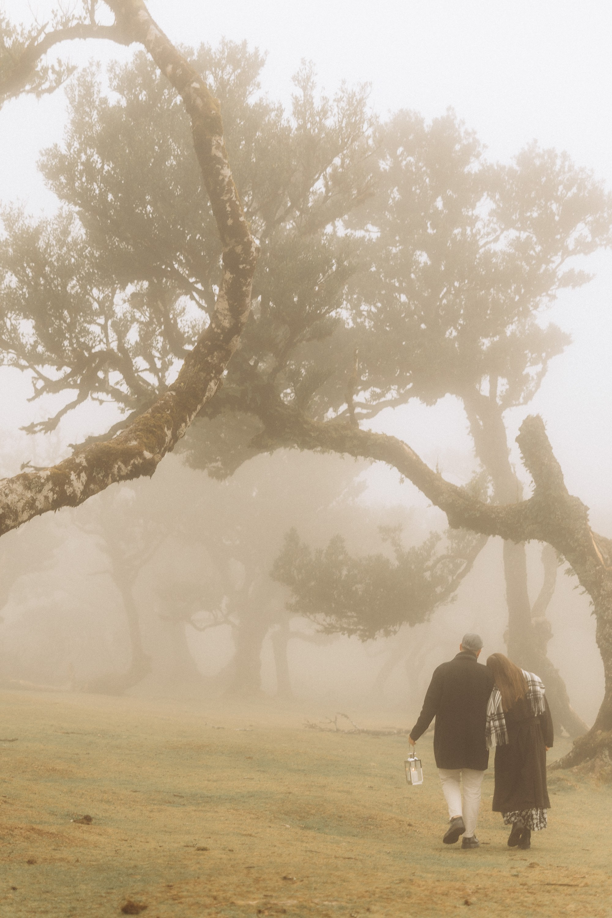 Couple photoshoot in Fanal Forest