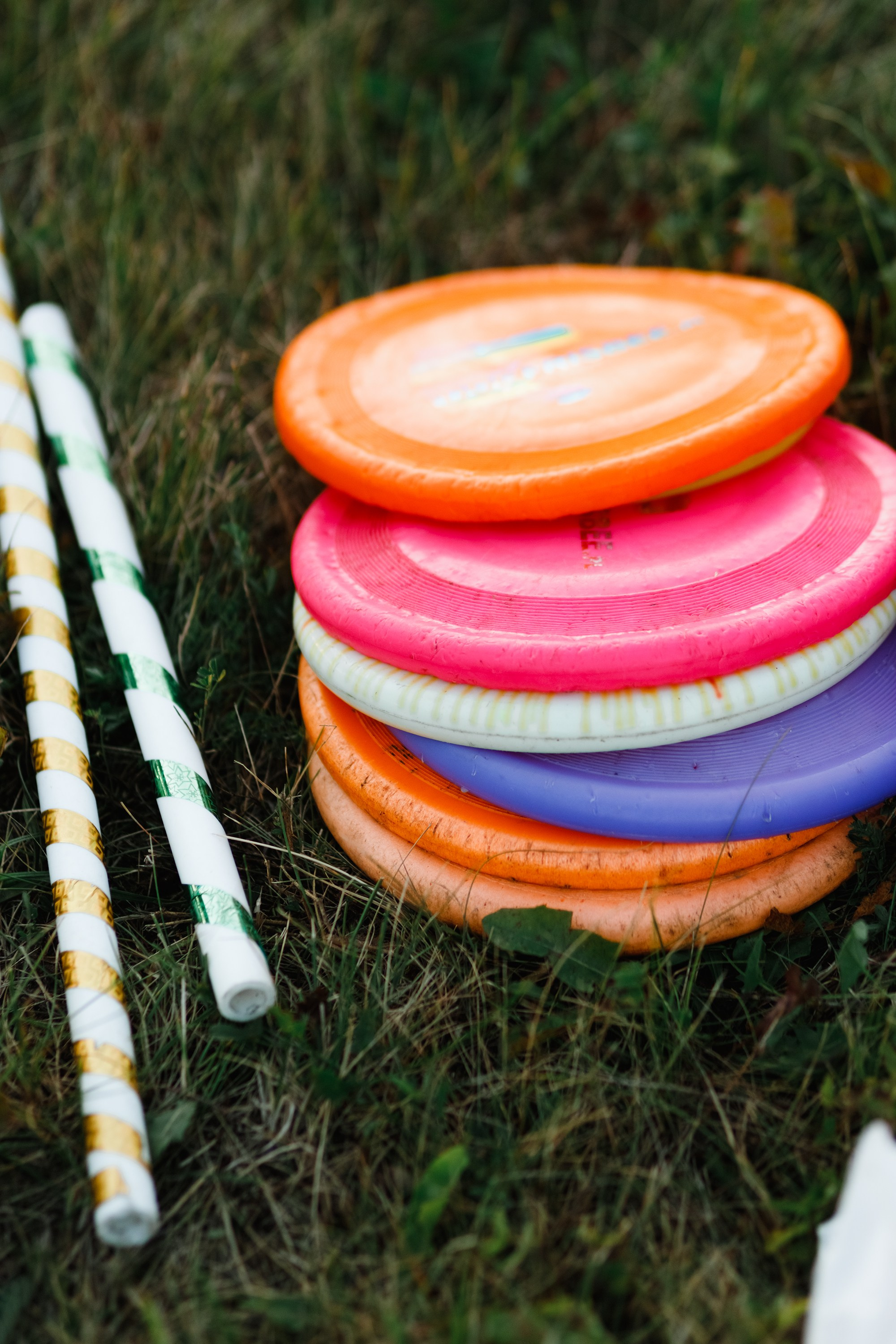 Frisbee workshop of Darya Lukina. Kaja | fotograf we Wrocławiu | ludzie i psy