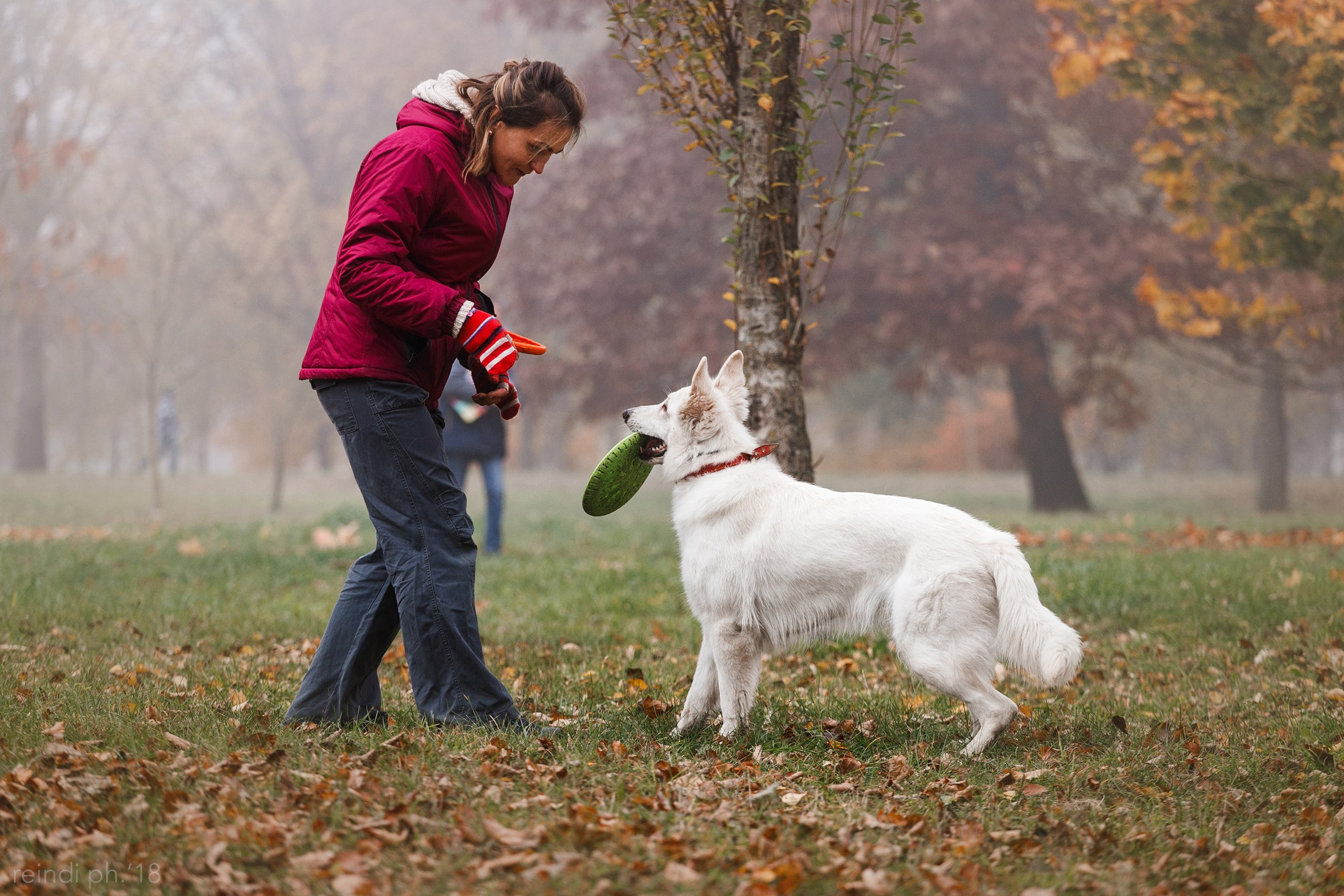 Frisbee and dog puller championship | autumn. Kaja | fotograf we Wrocławiu | ludzie i psy