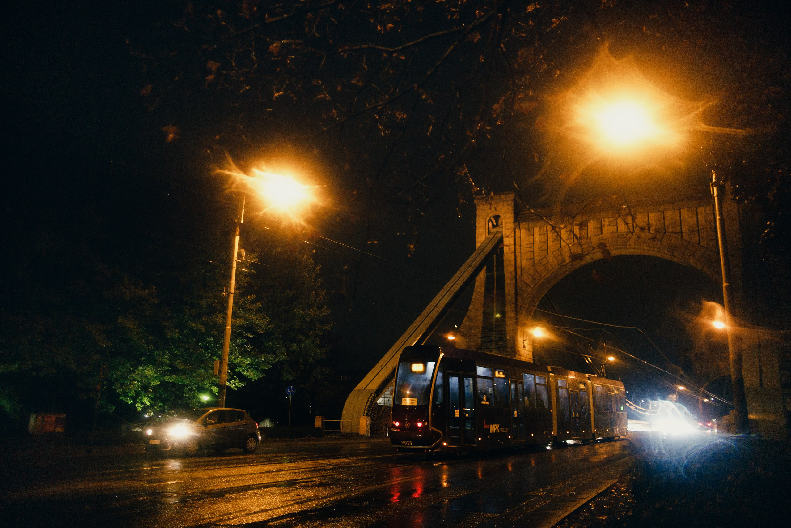 Night rainy Wroclaw. Kaja | fotograf psów we Wrocławiu