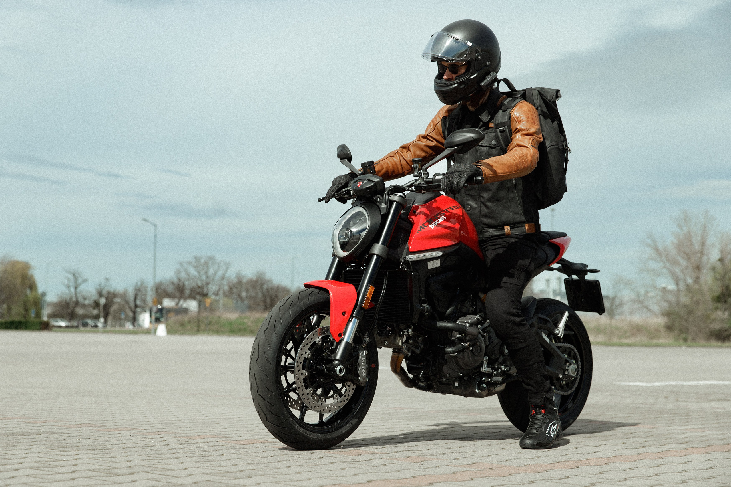 Alex. Kaja | fotograf psów we Wrocławiu