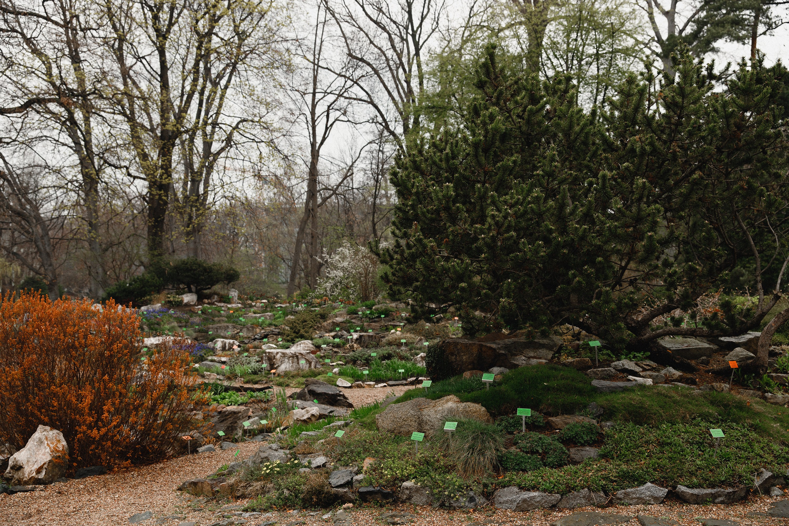 Botanical garden in Wroclaw. Kaja | fotograf we Wrocławiu | ludzie i psy