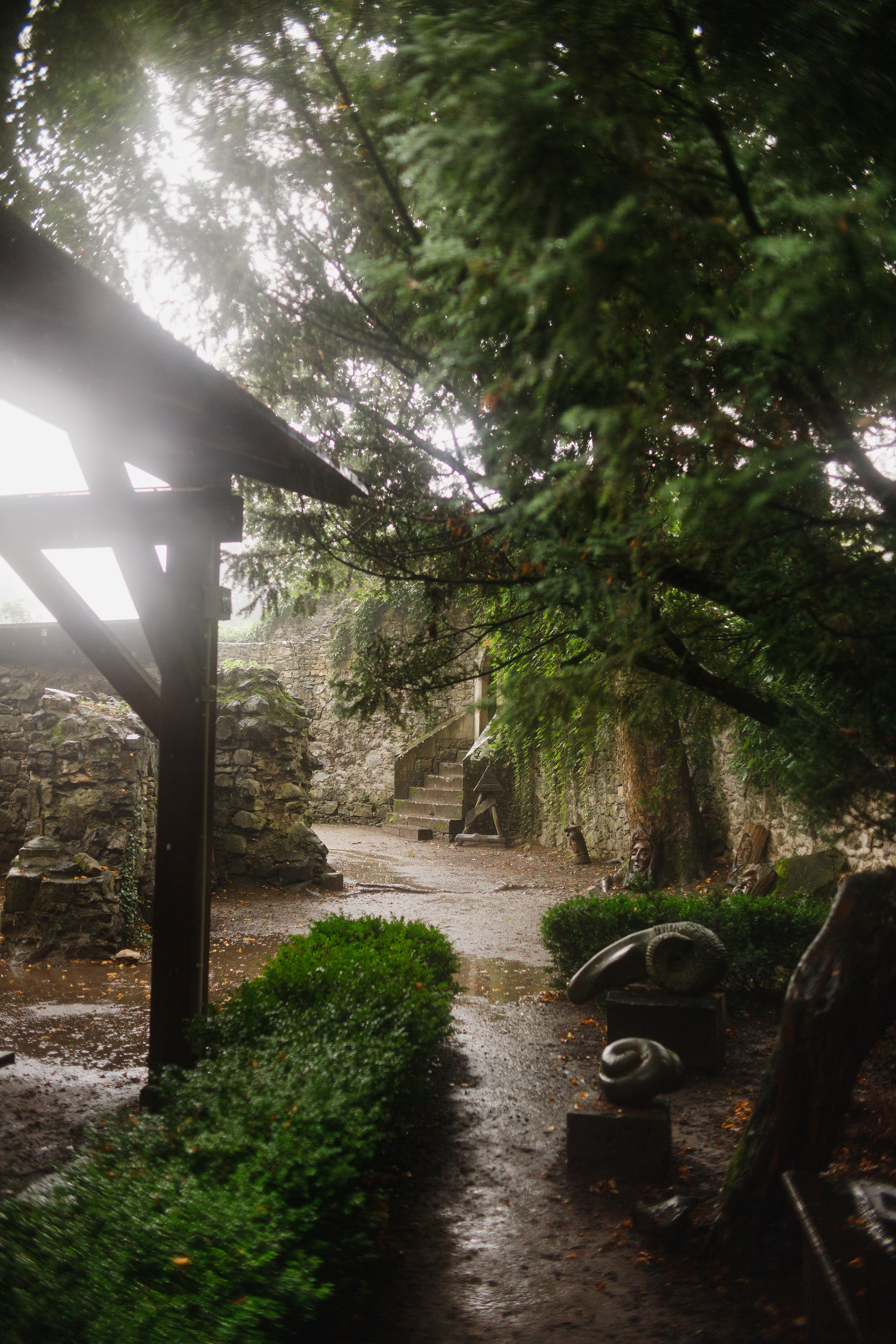 Zamek Grodziec. Kaja | fotograf psów we Wrocławiu