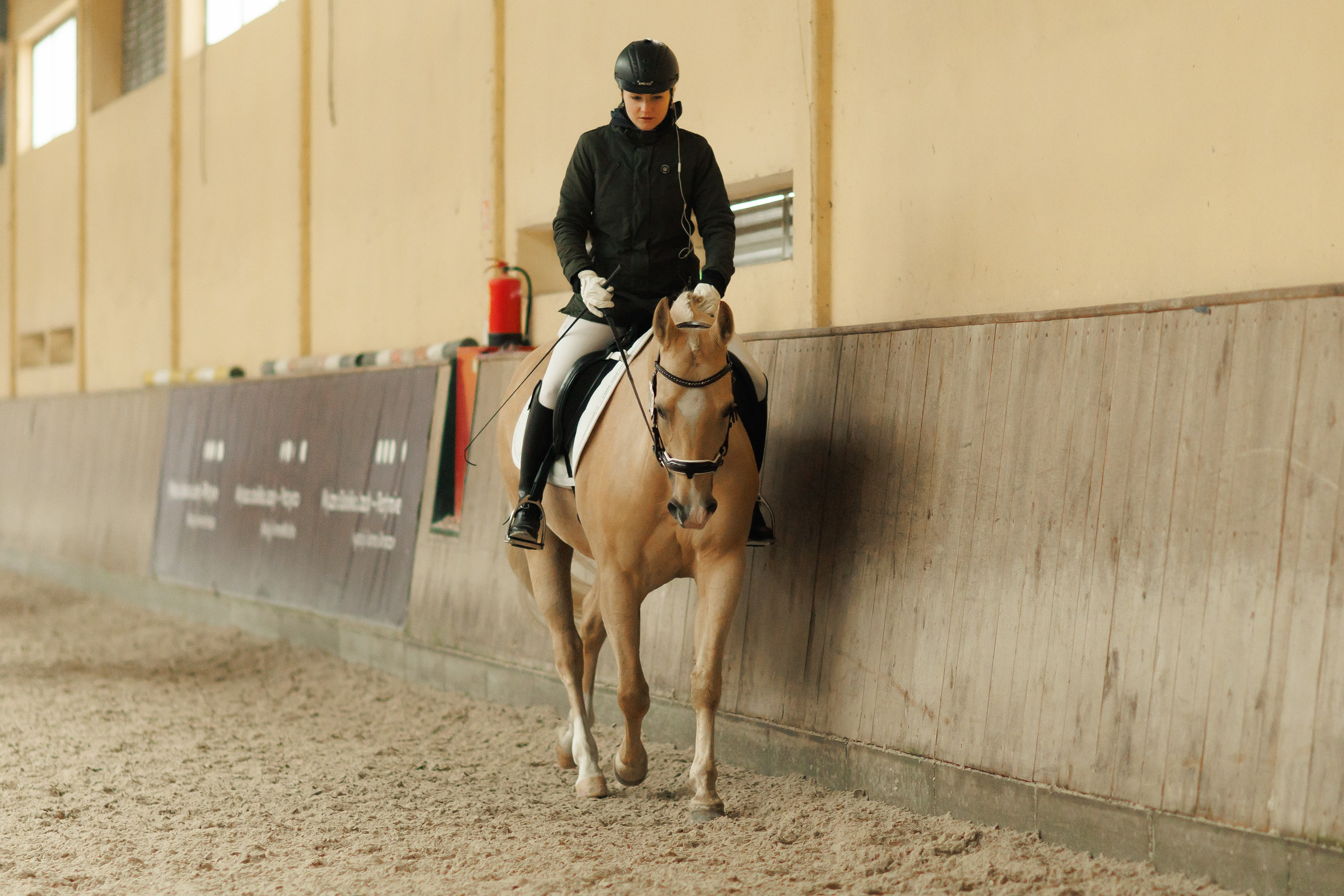 Partynice dressage \ feb'25. Kaja | fotograf we Wrocławiu | ludzie i psy