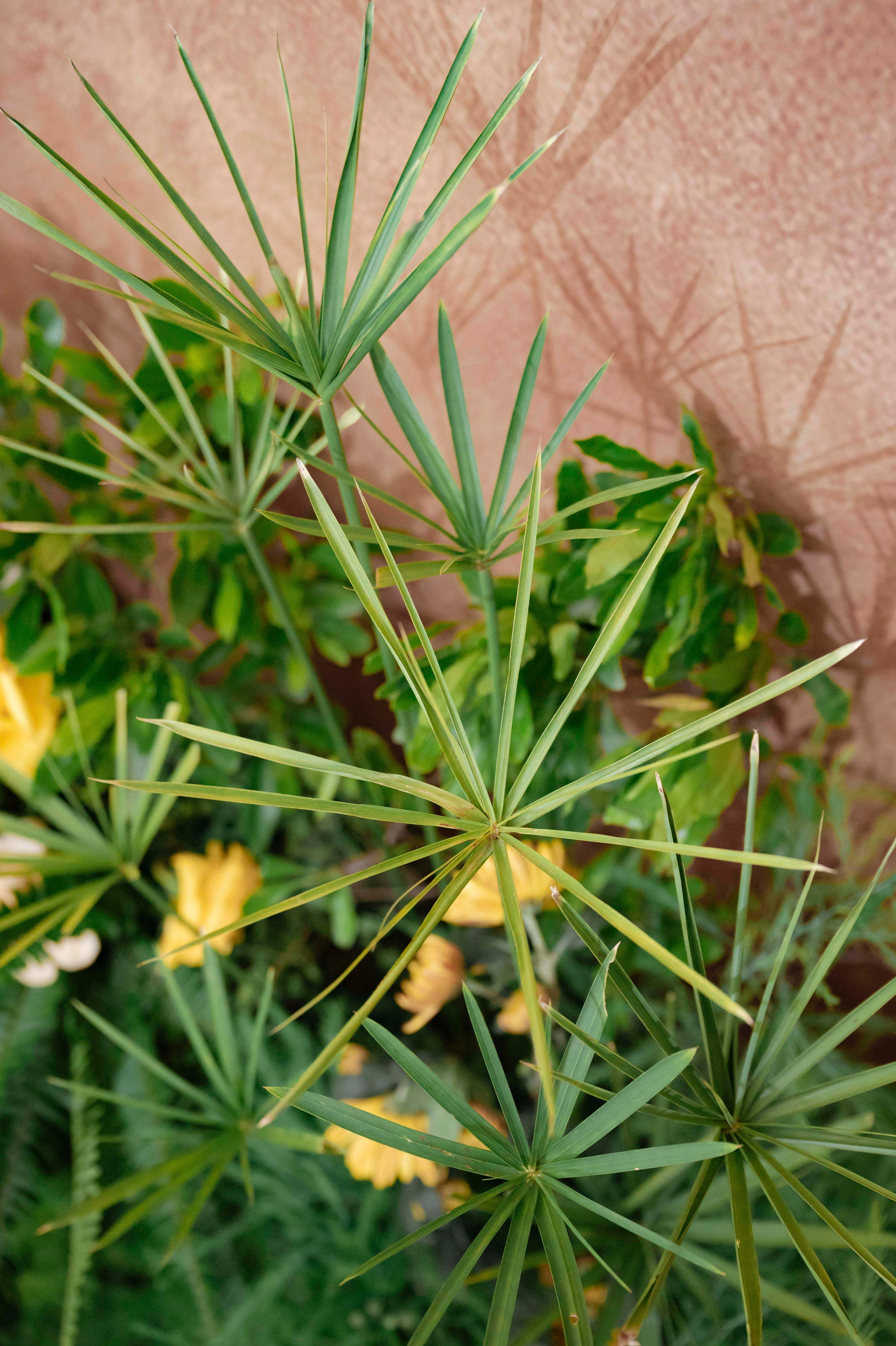 DUC & CHAU. WEDDING PHOTOGRAPHER IN VIETNAM