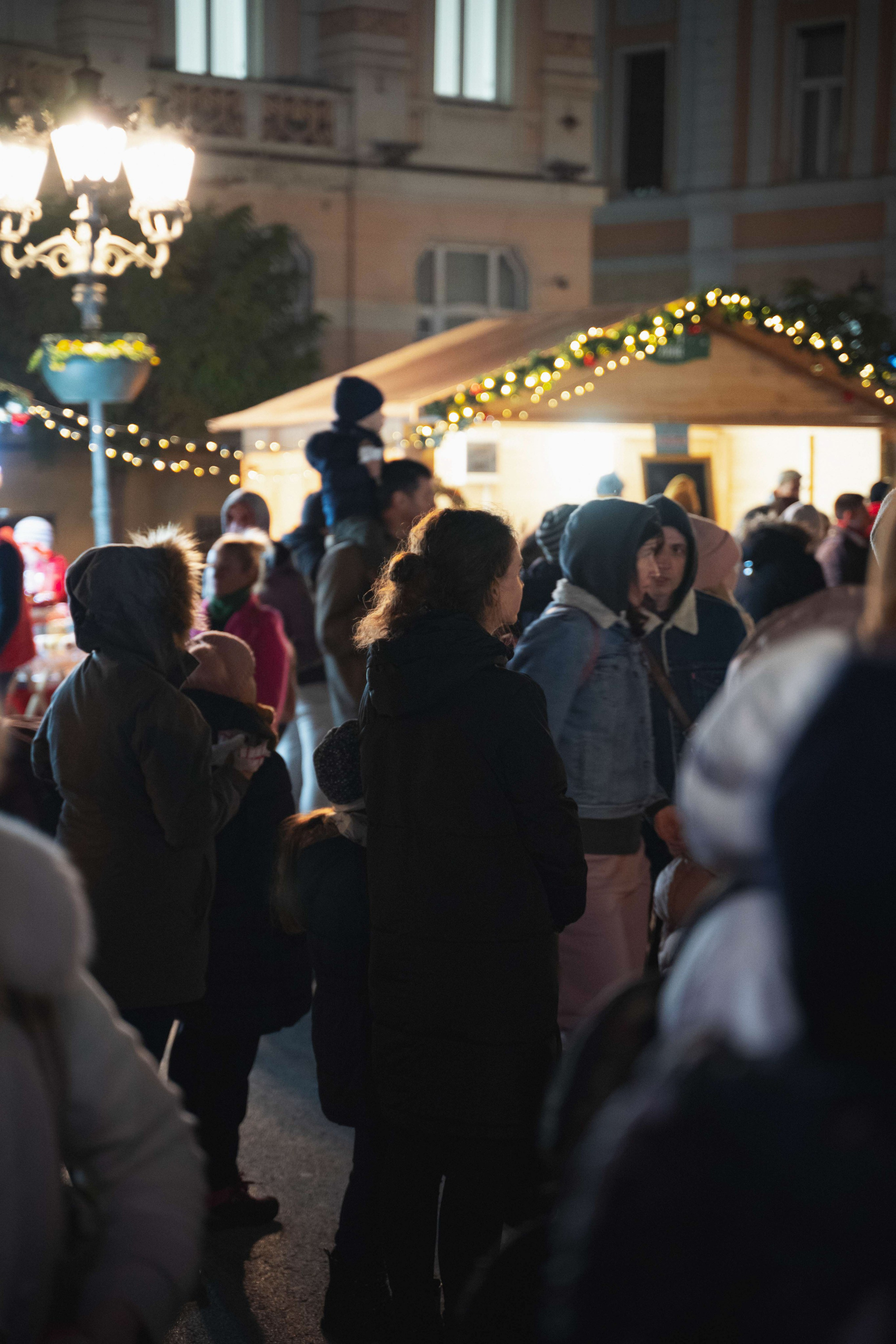 Novosadski Zimzolend. Жуков Студио