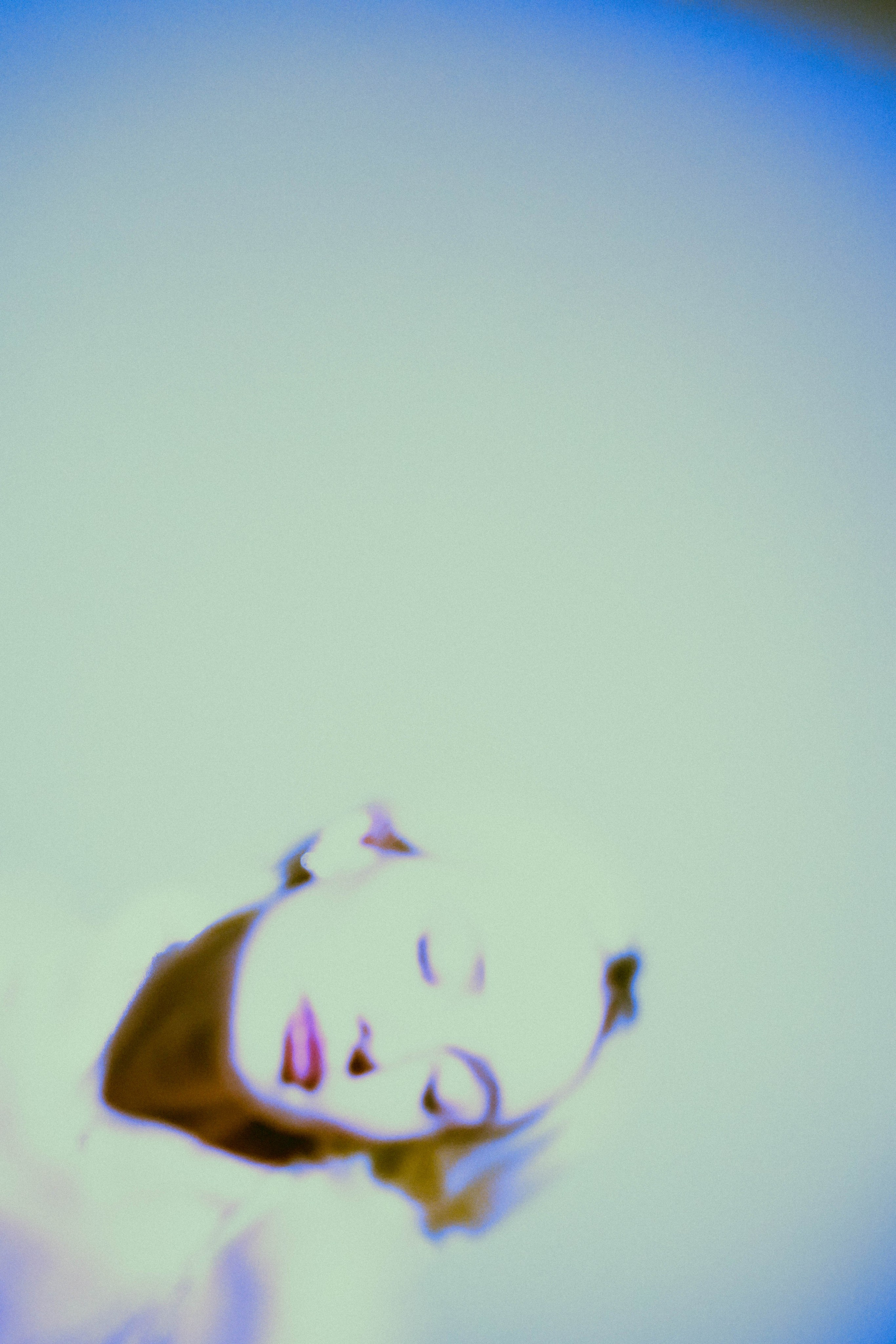 AURA. JANEBANDICUTE фотограф-видеограф в Санкт-Петербурге и Москве