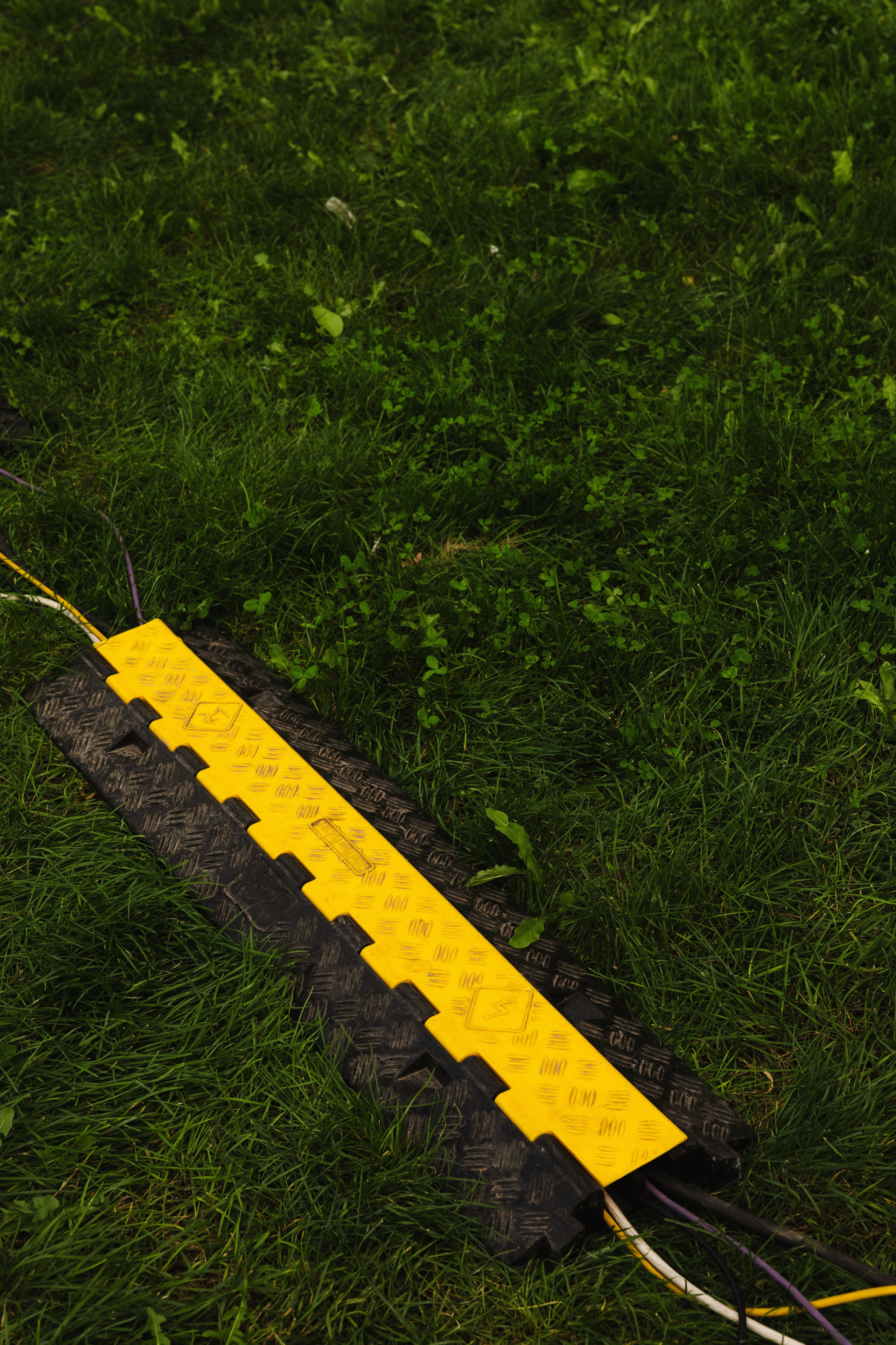 Алмаз и Алина. Азимжан Нуритдинходжаев — свадебный фотограф