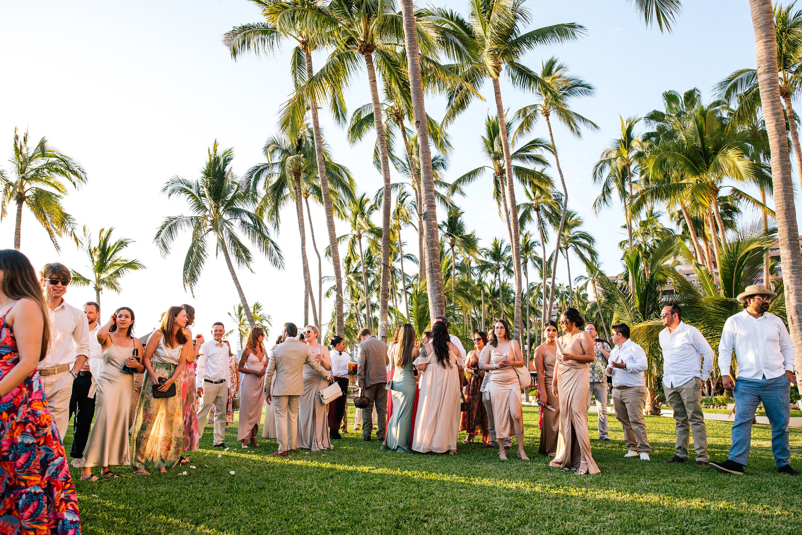 Fiesta/ Coctel. Principal