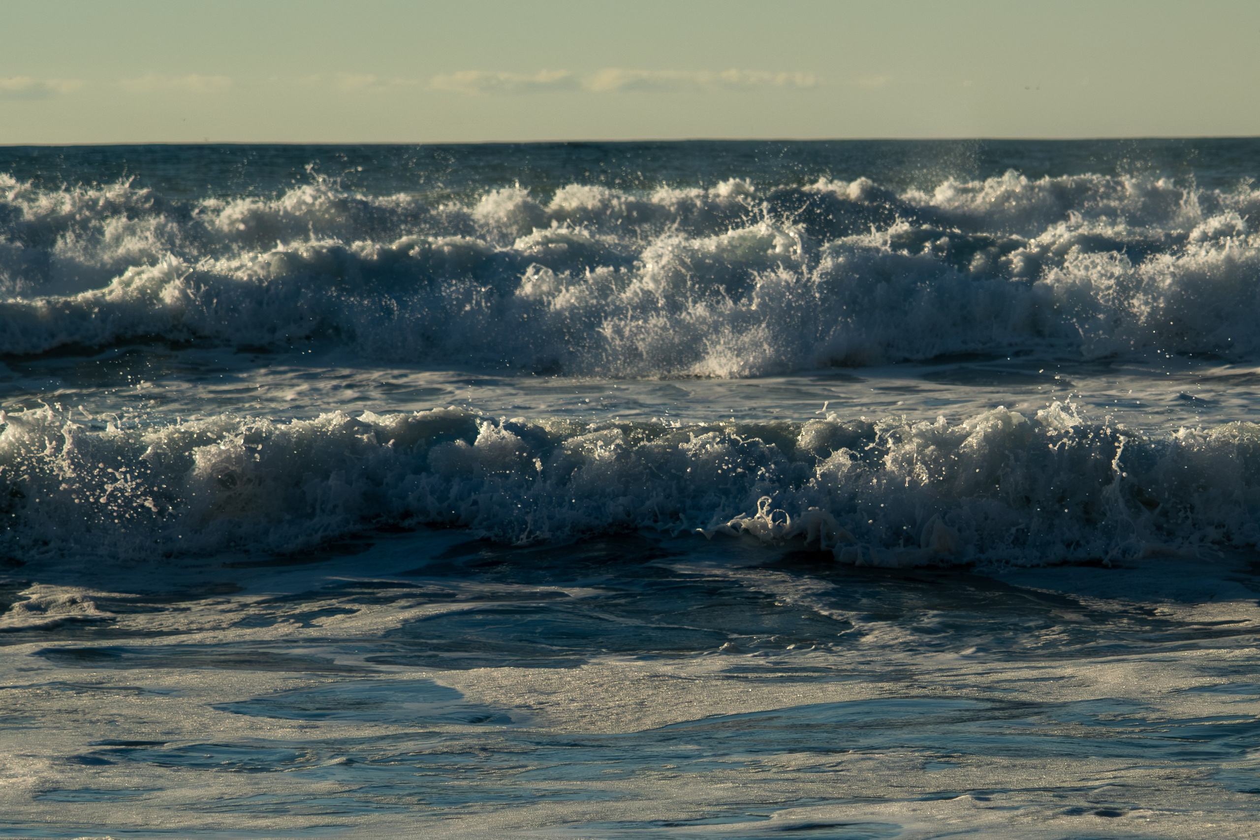 NATURE. Reportage concert portrait photography in the San Francisco Bay Area