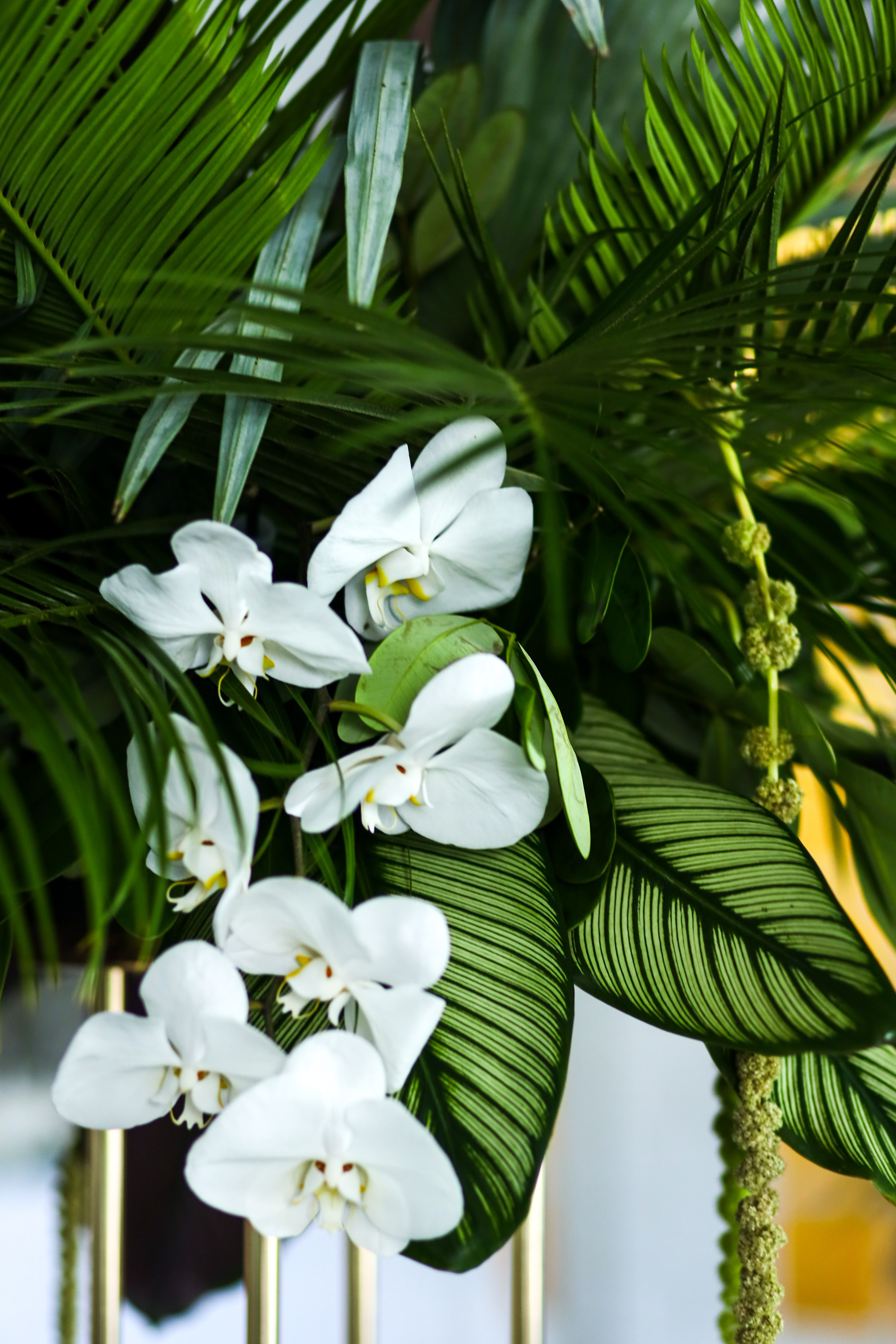 Wedding day: Elizabeth and Ruslan. Wedding and Event photography, Kisses + Veil