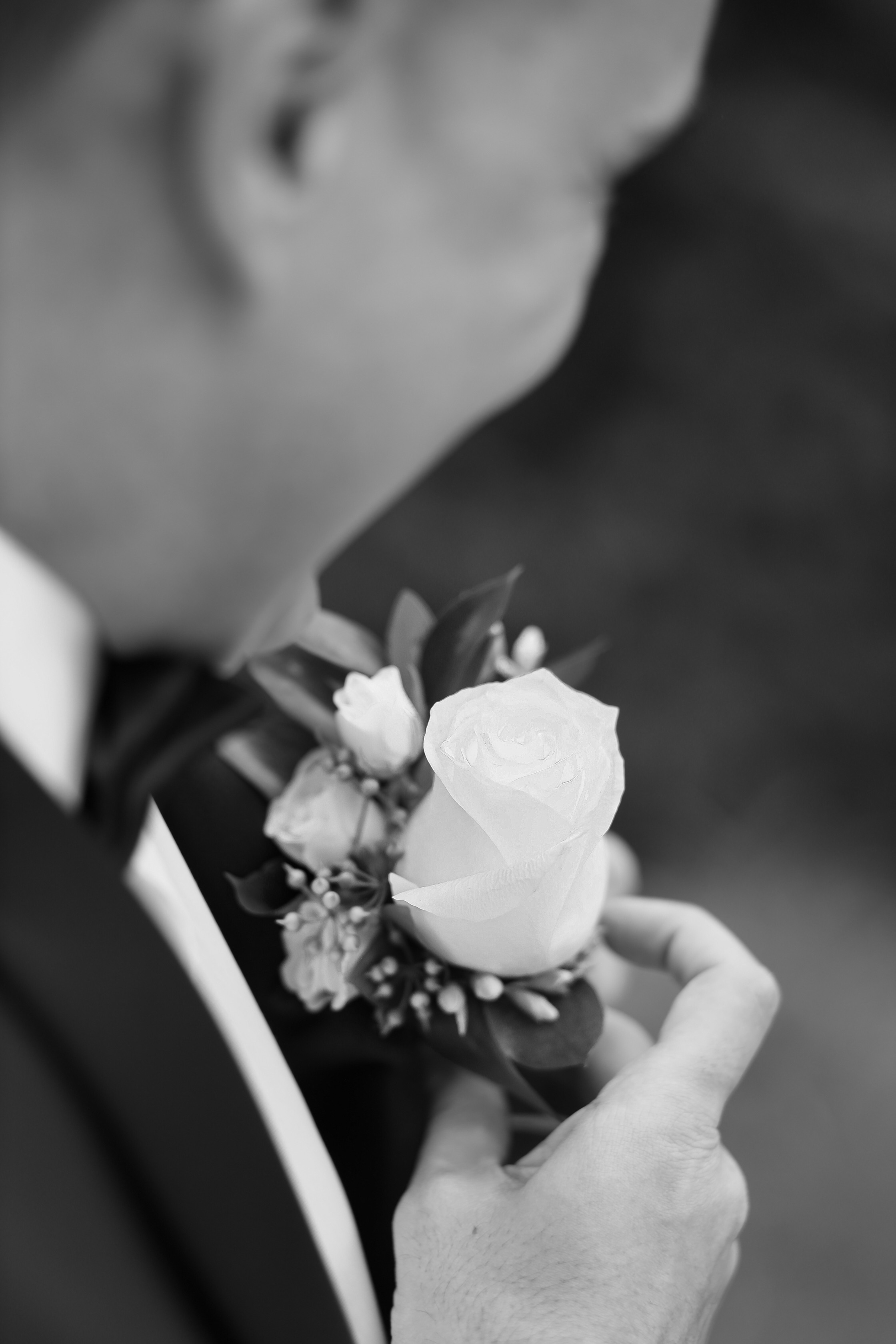 Wedding day: Elizabeth and Ruslan. Wedding and Event photography, Kisses + Veil