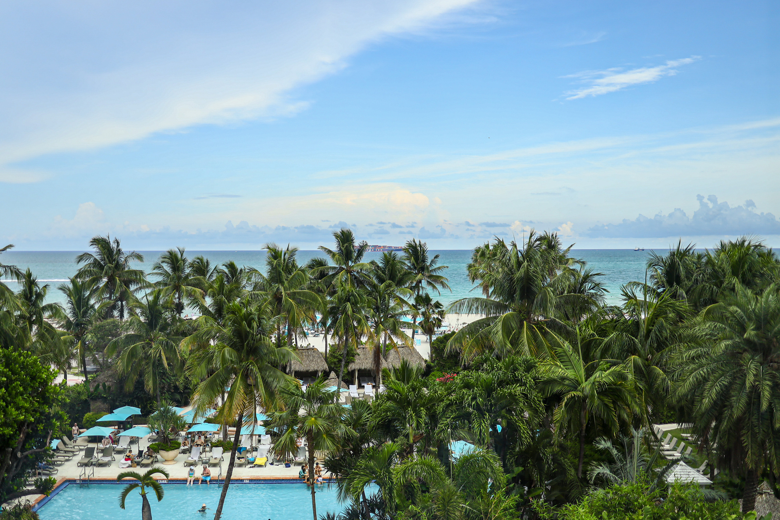 Wedding day: Elizabeth and Ruslan. Wedding and Event photography, Kisses + Veil