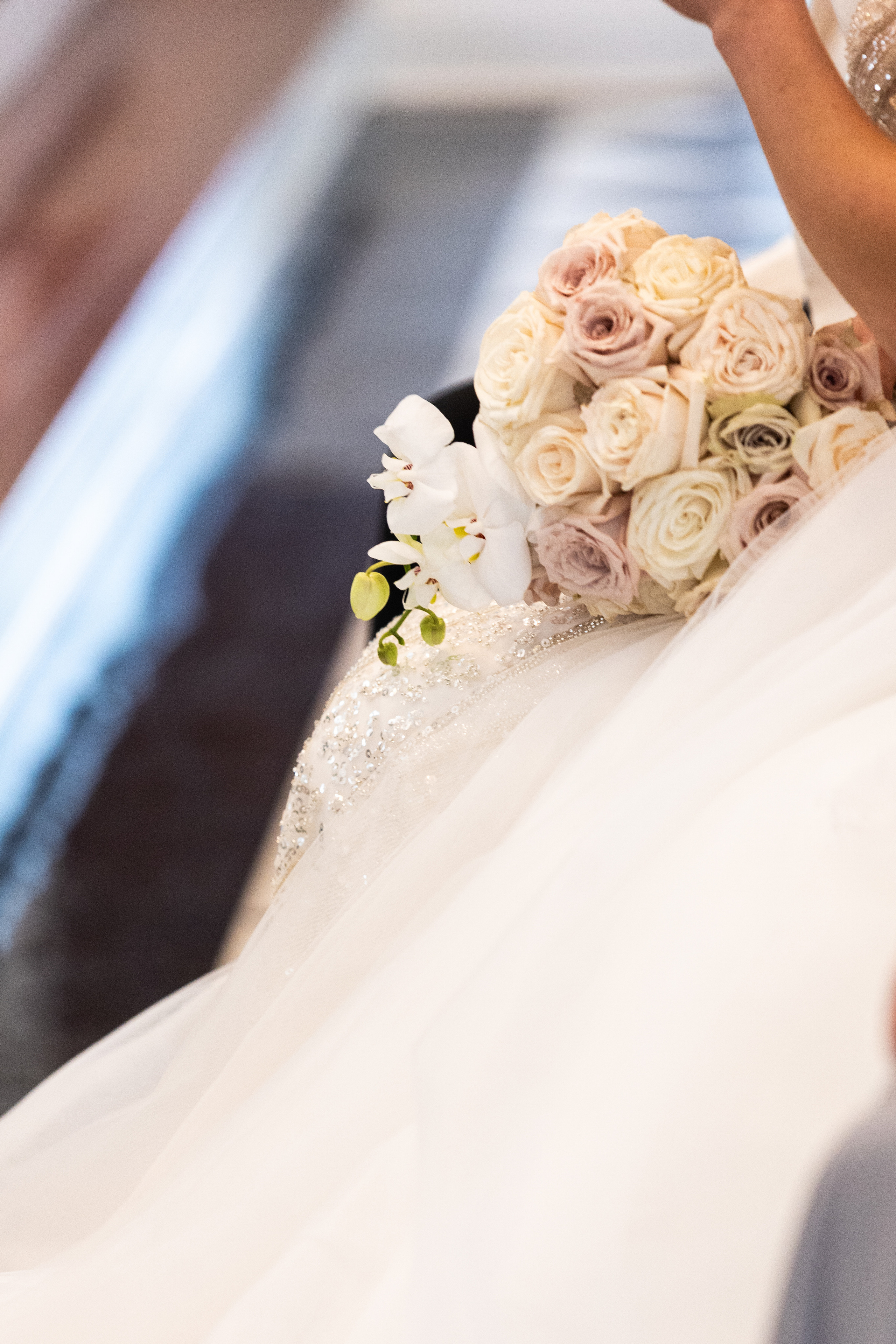 Claudie and Philip. Wedding and Event photography, Kisses + Veil