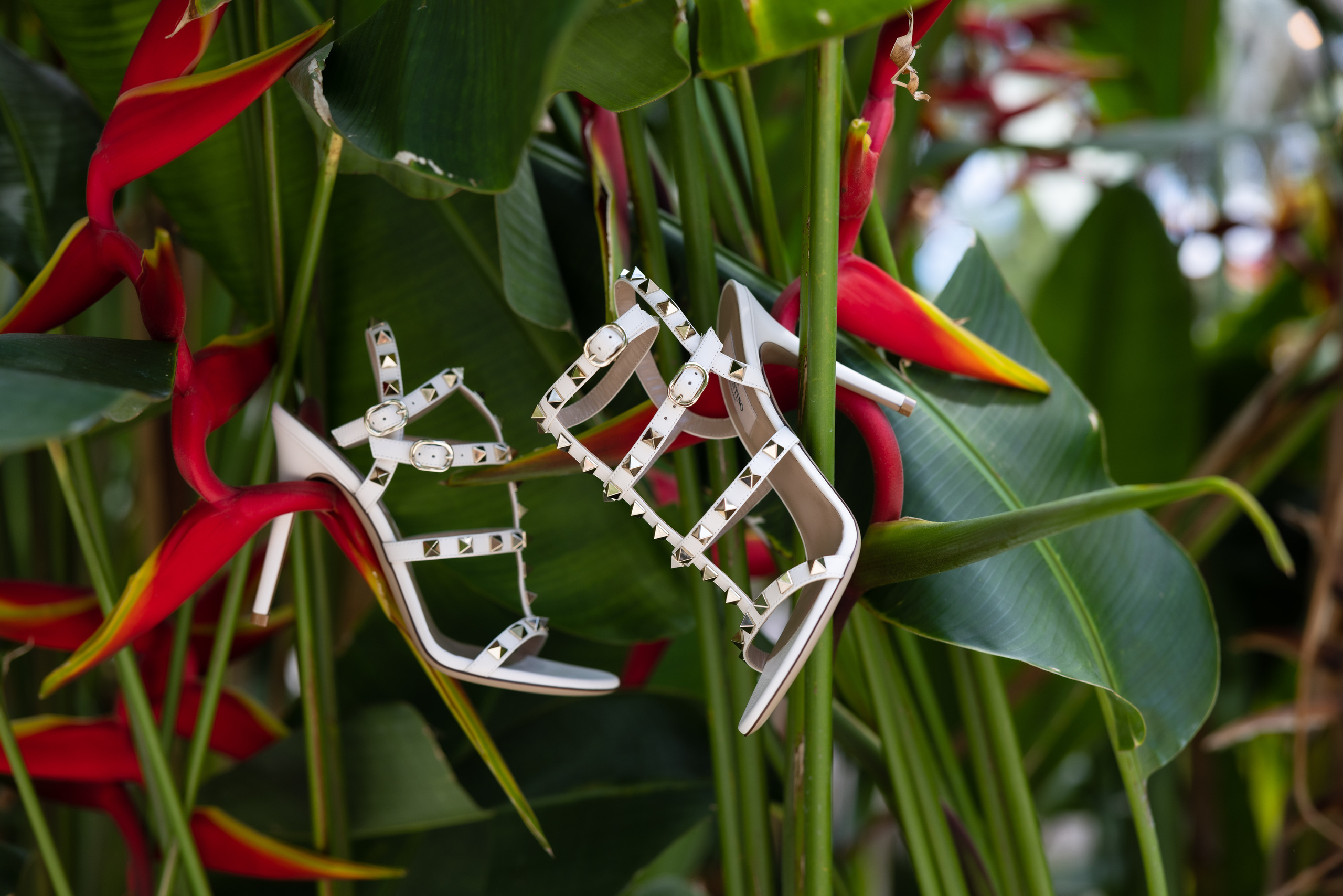 Wedding day: Elizabeth and Ruslan. Wedding and Event photography, Kisses + Veil