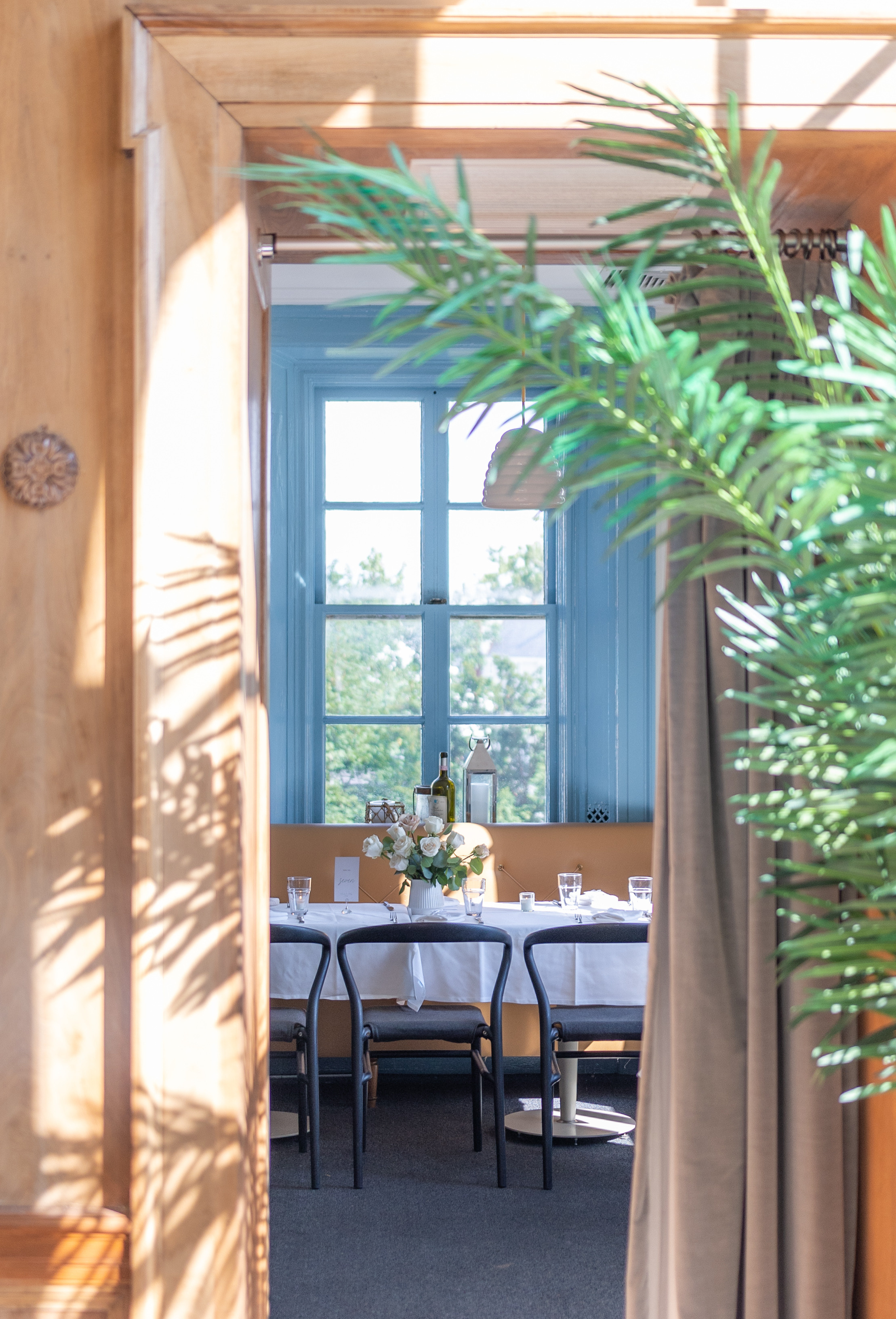 Claudie and Philip. Wedding and Event photography, Kisses + Veil