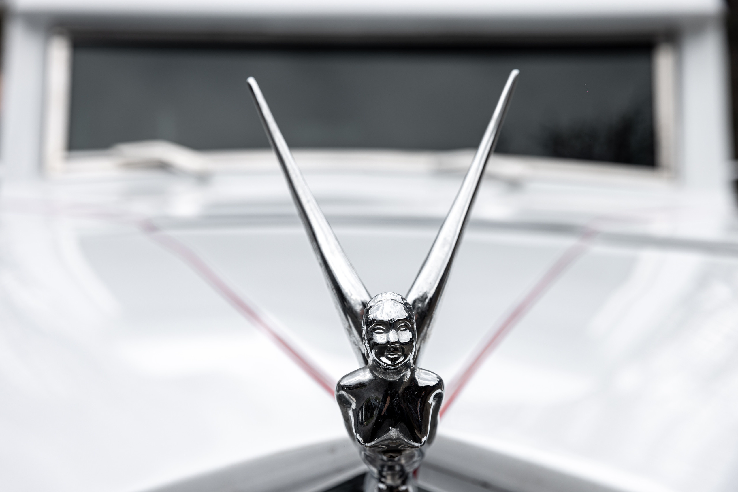 Natalie and Ghasan. Wedding and Event photography, Kisses + Veil