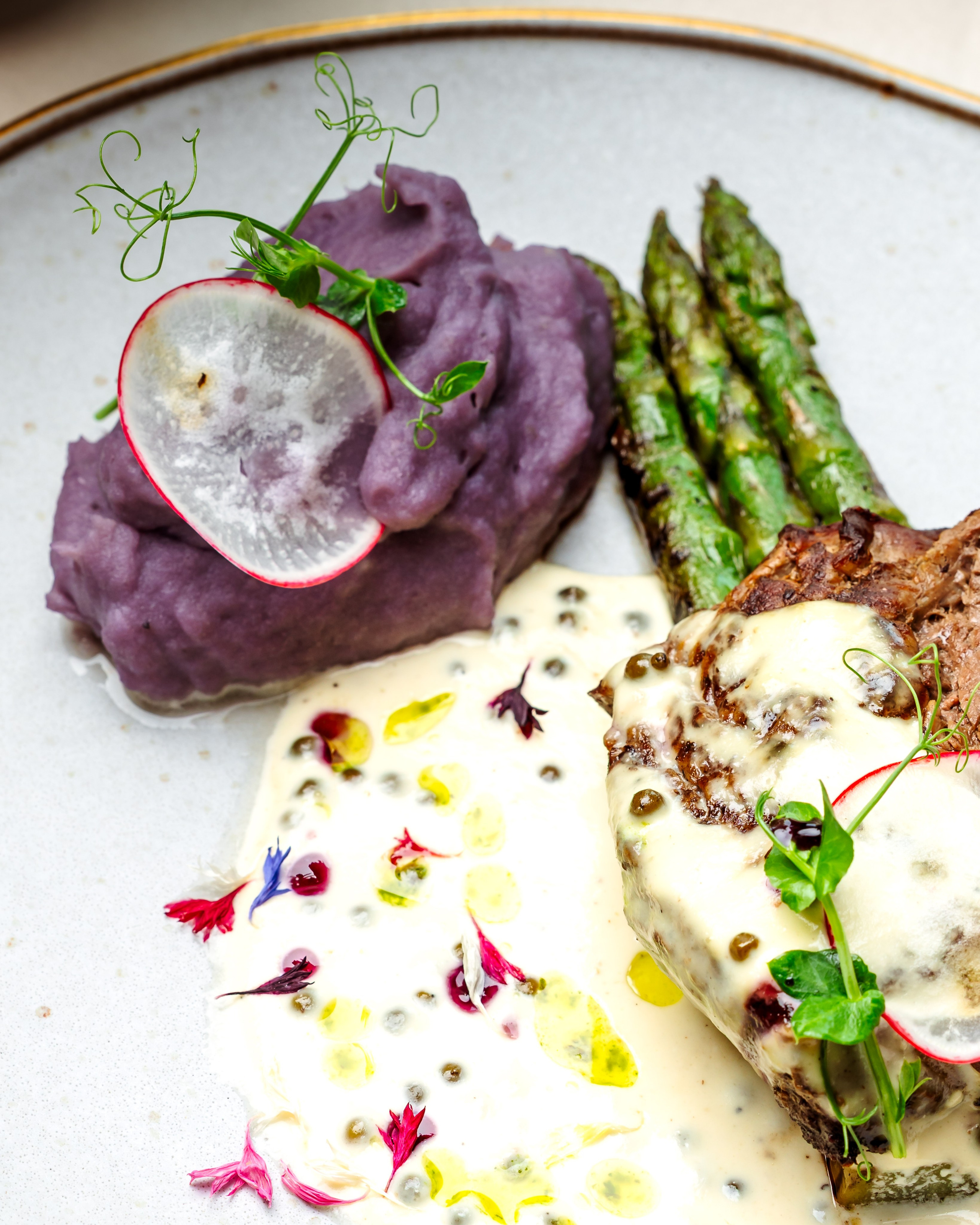 Grand View. Marius Ciocan