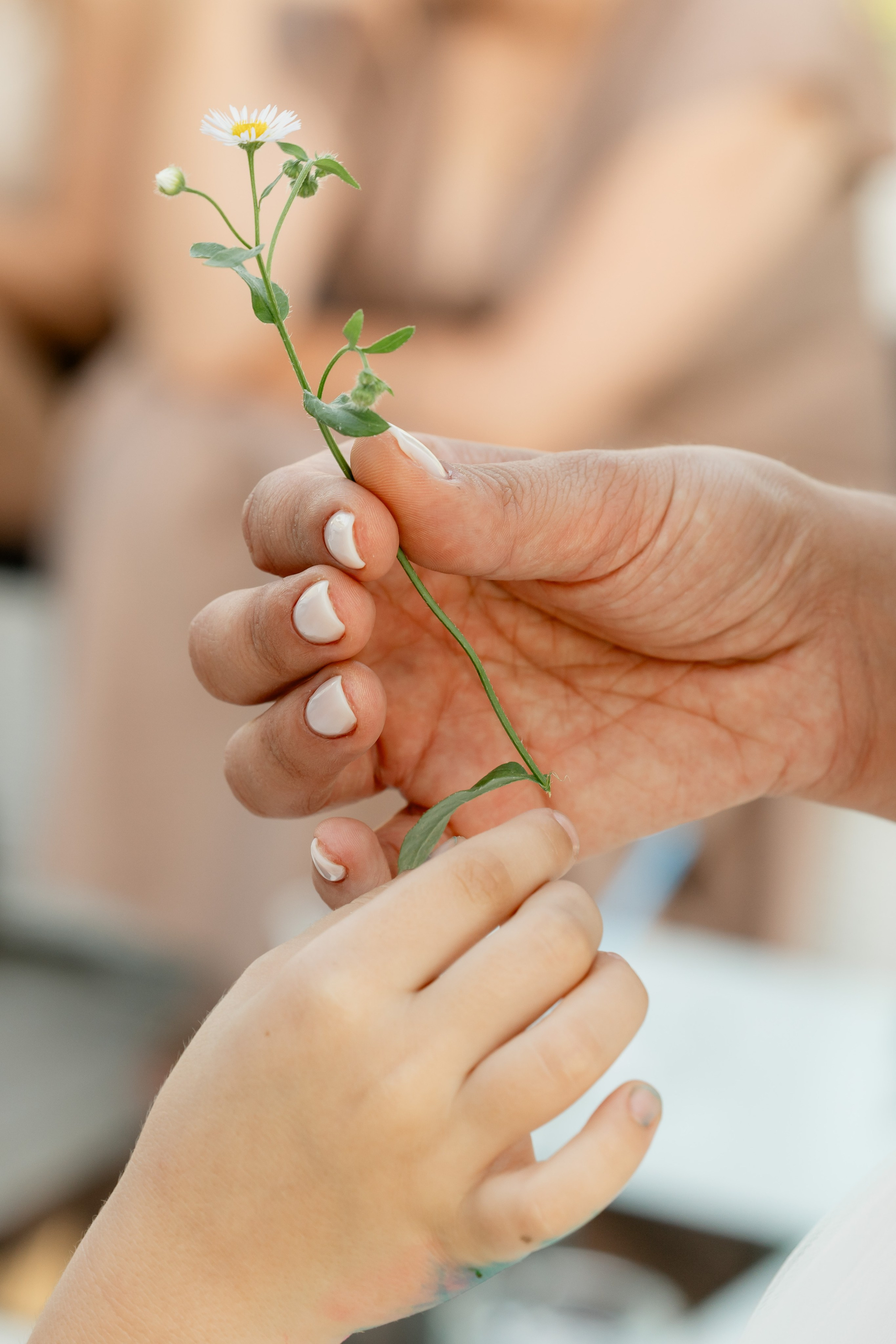 Lidia & Andrei. Fotograf evenimente. Fotograf nunta. Fotograf Botez. Mihaela Savu