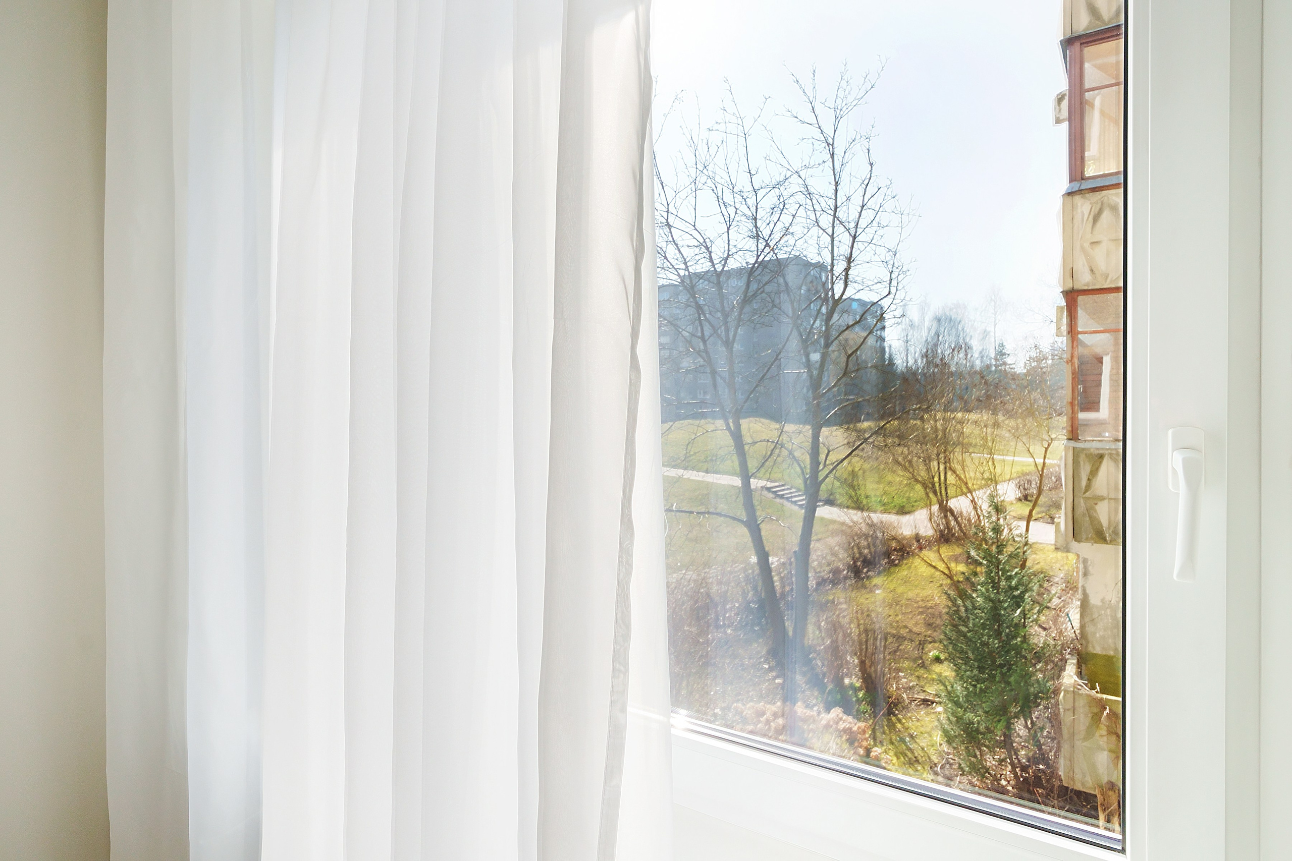 Gelvonų g. 50. Elina Sapiega fotografė Vilniuje