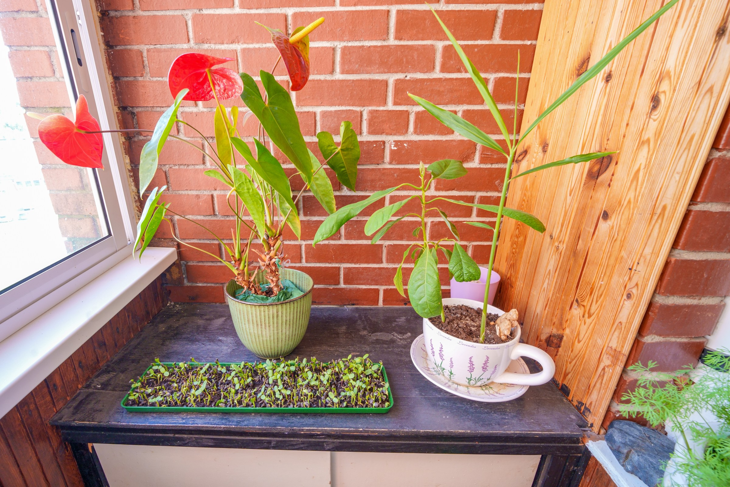 Ateities g. 1. Elina Sapiega fotografė Vilniuje