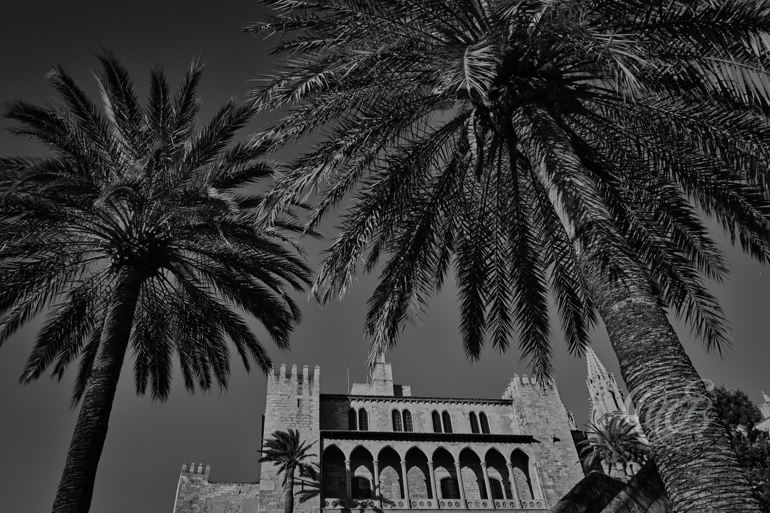 Projects. Eduardo Bartoli Fine Art Photography