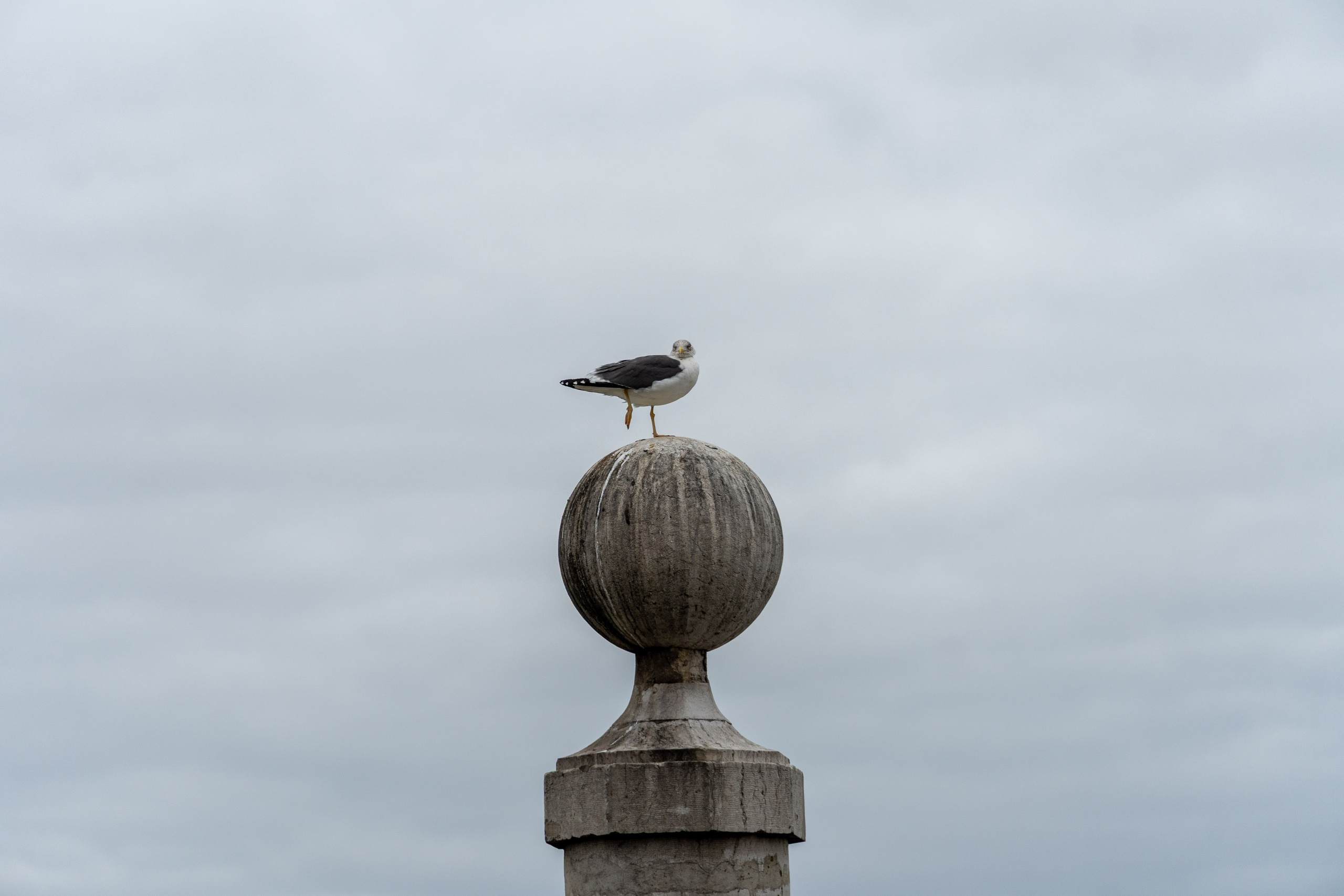 Lisabona 2025. Fotografiideplacere.net