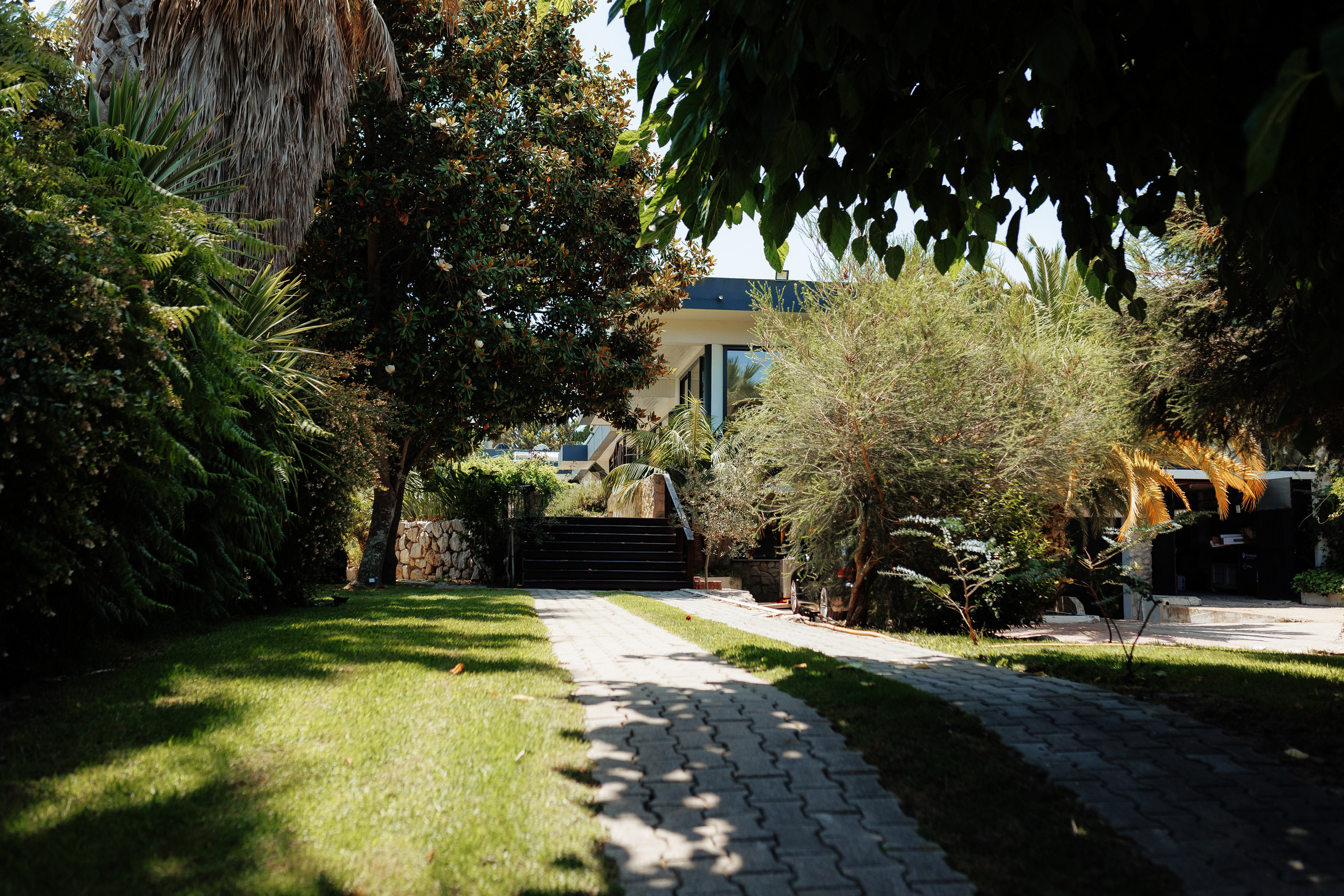 Rui & Olesea. Photographer in Dublin, Pavel