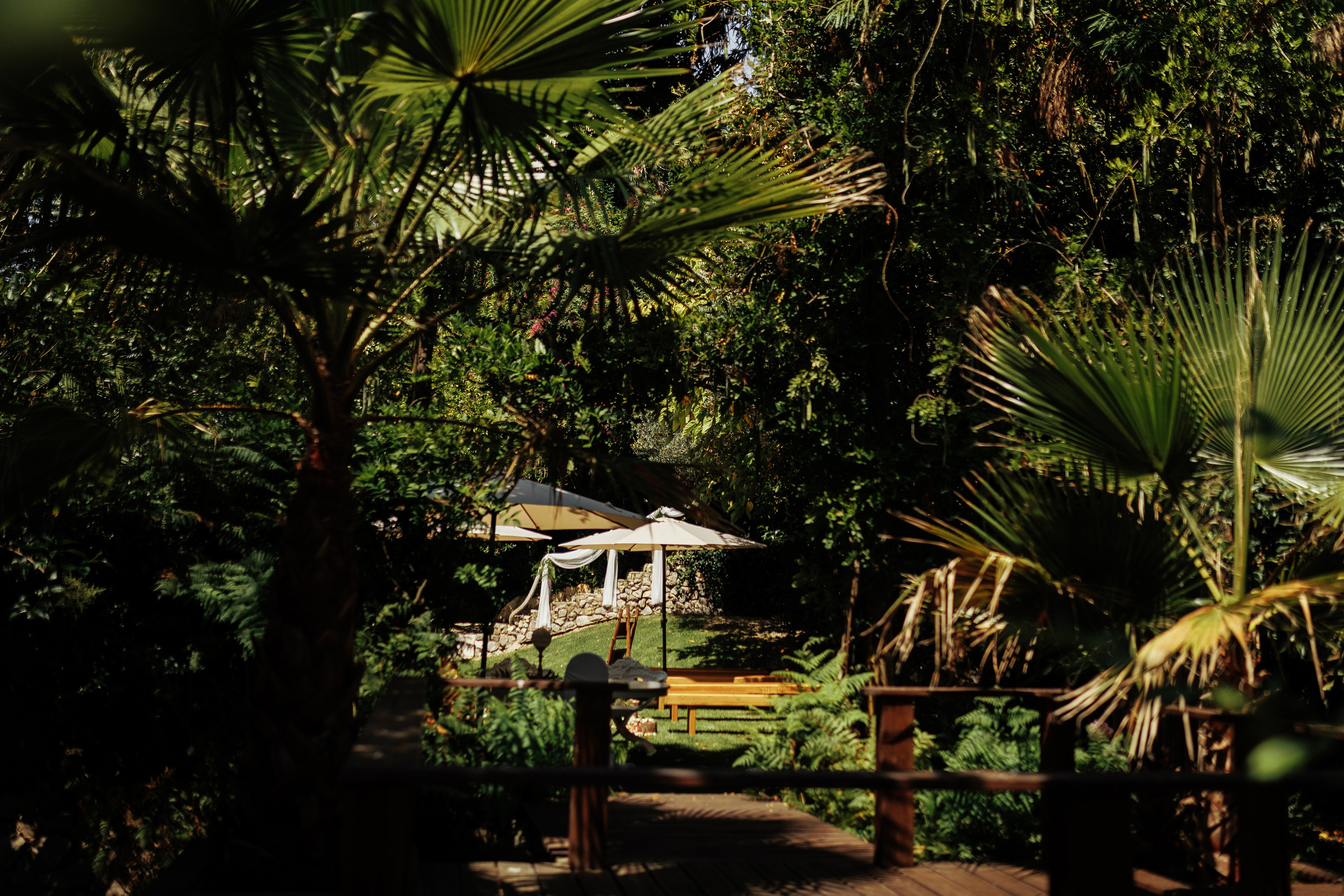 Rui & Olesea. Photographer in Dublin, Pavel