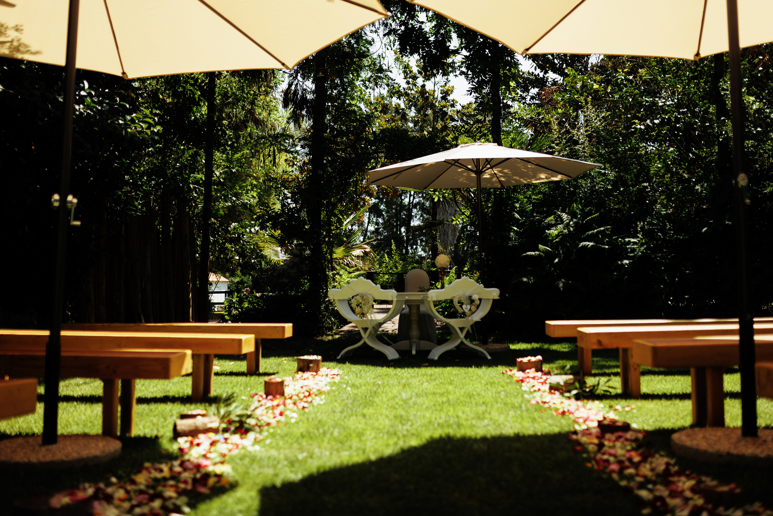 Rui & Olesea. Photographer in Dublin, Pavel